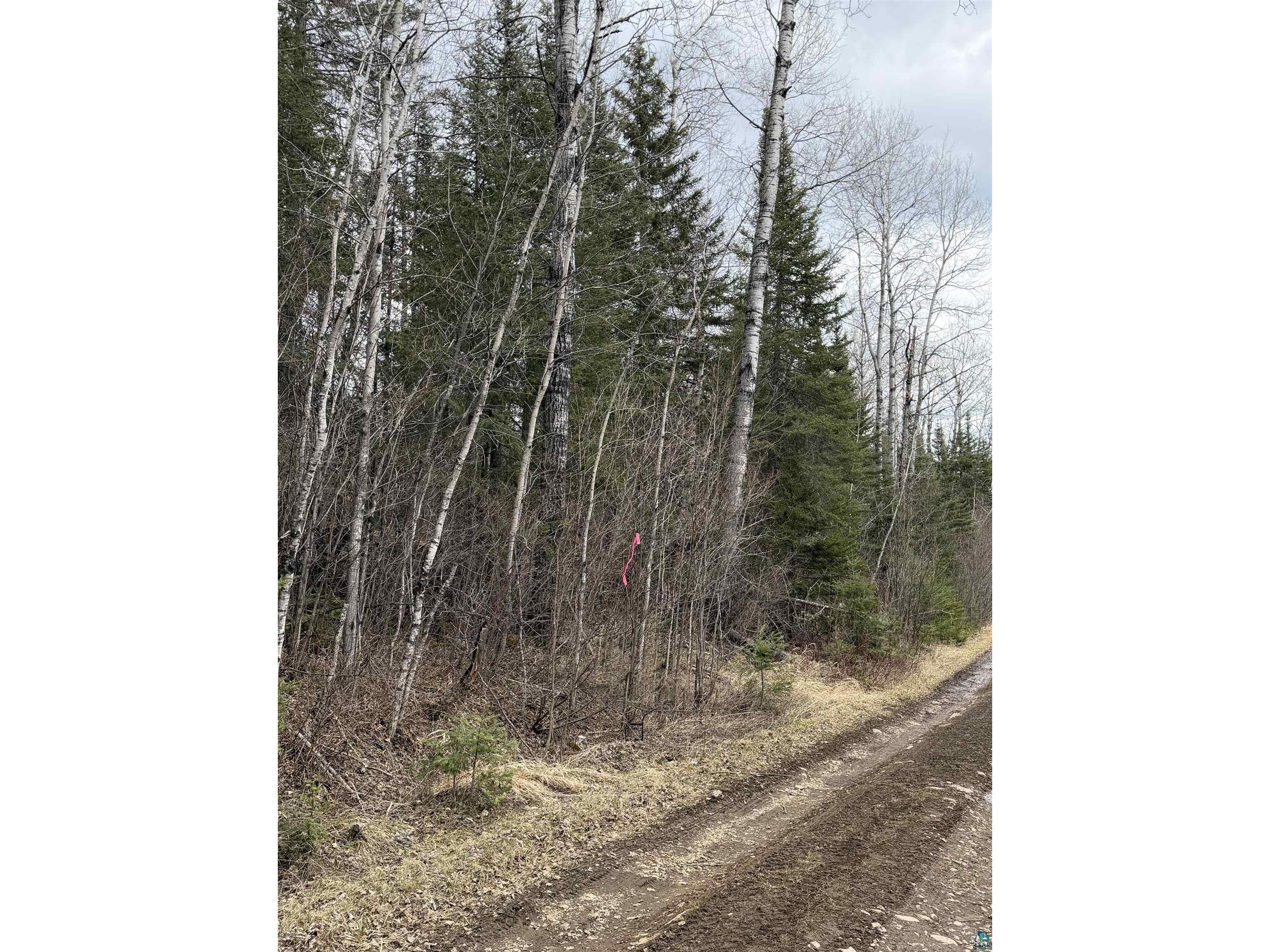 XX S Lost Lake Rd Hovland MN 55606 - Lost Lake 6124608 image7