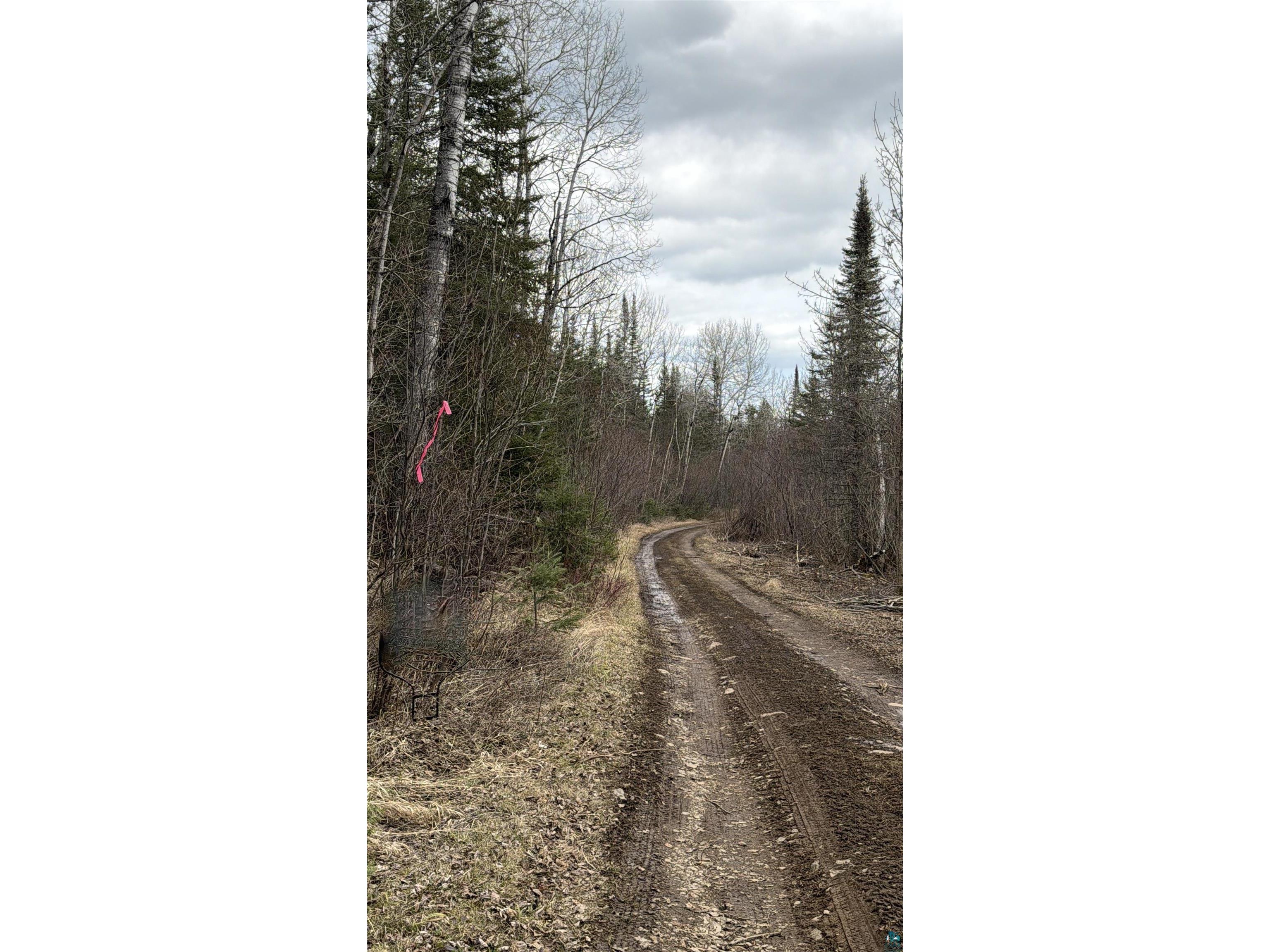 XX S Lost Lake Rd Hovland MN 55606 - Lost Lake 6124608 image8