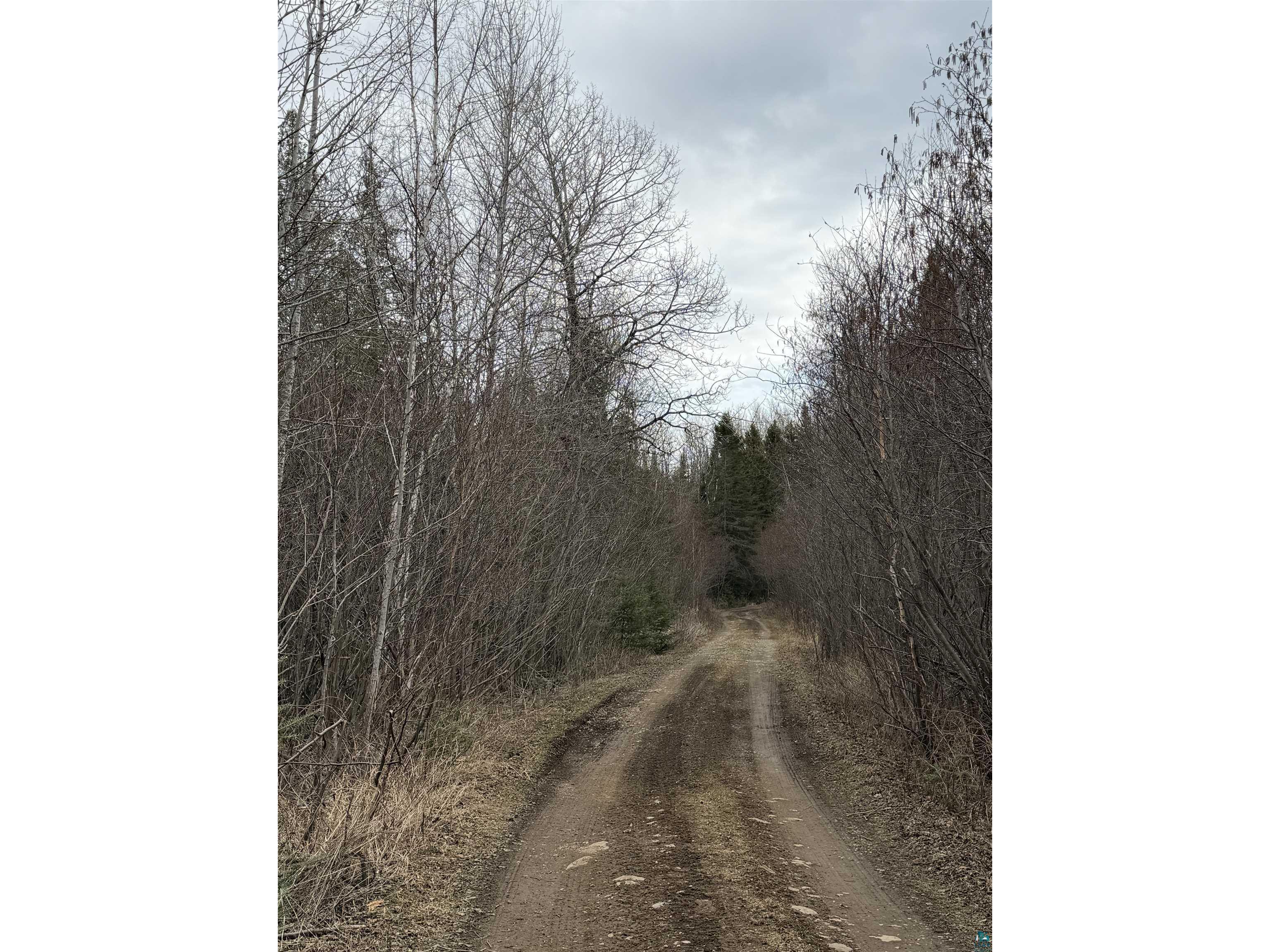 XX S Lost Lake Rd Hovland MN 55606 - Lost Lake 6124608 image9