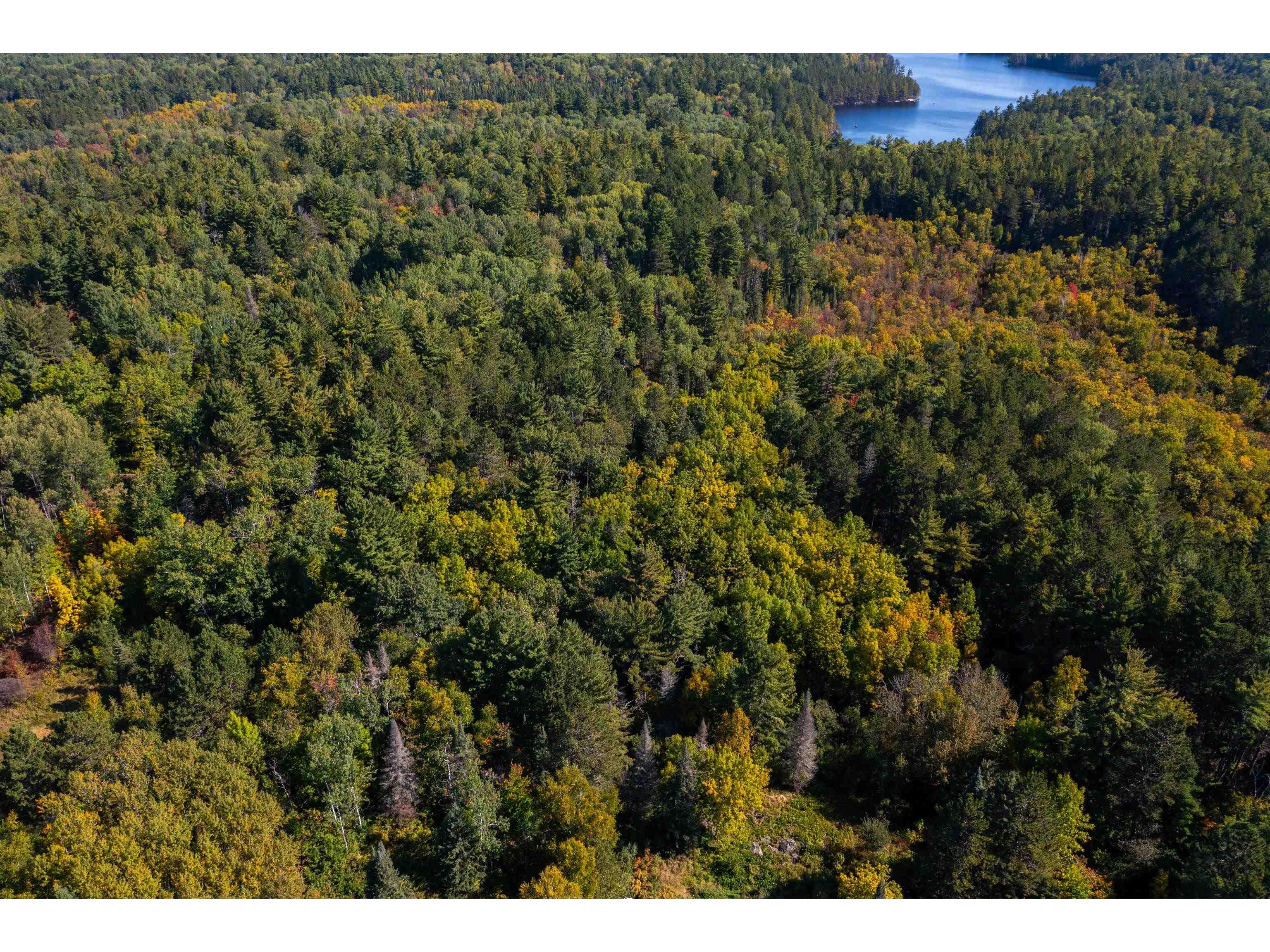 XX Sellwood Rd Ely MN 55731 - Garden 6122238 image28