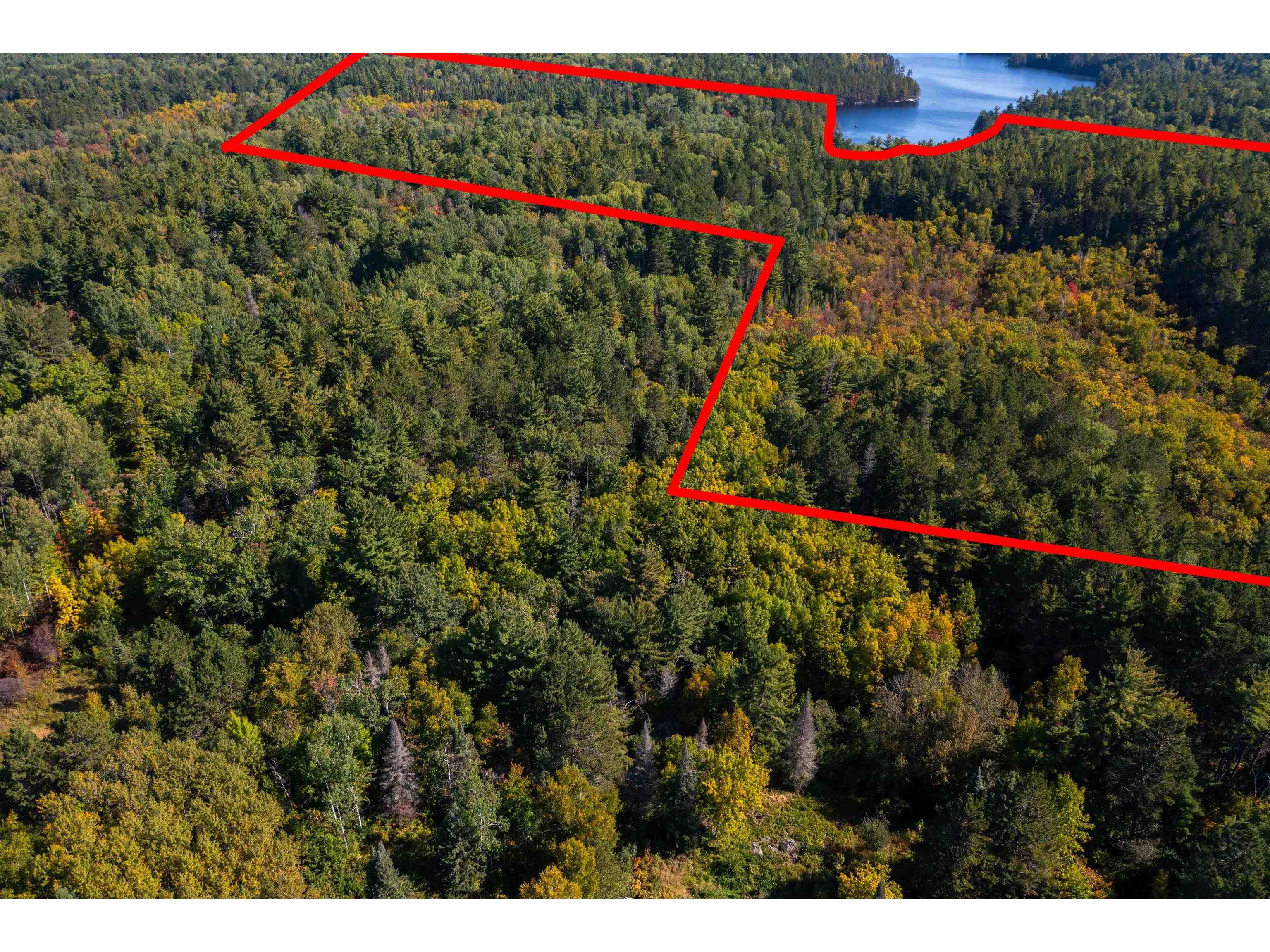 XX Sellwood Rd Ely MN 55731 - Garden 6122238 image29