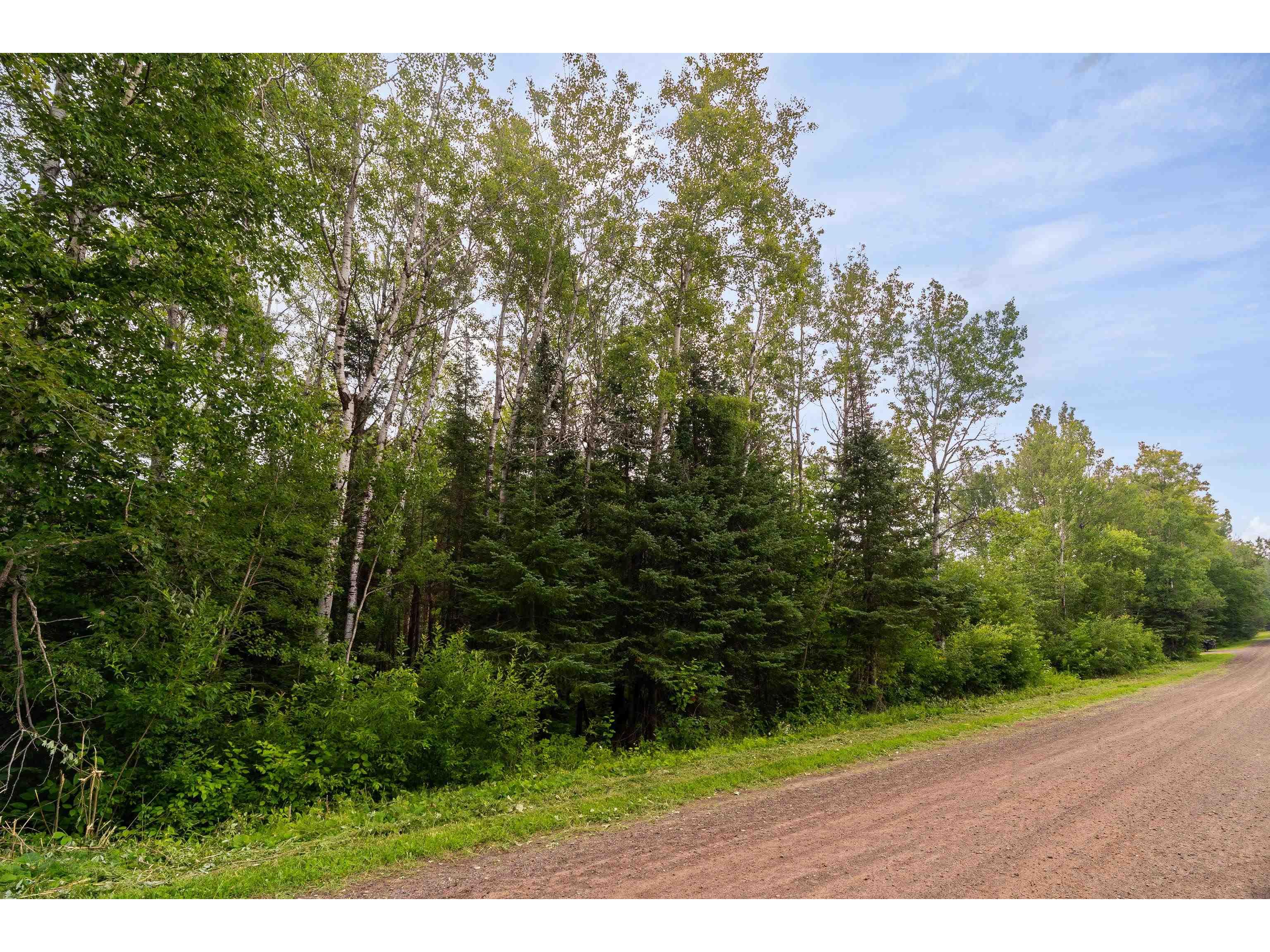 XX Torma Rd Esko MN 55733 6121212 image1