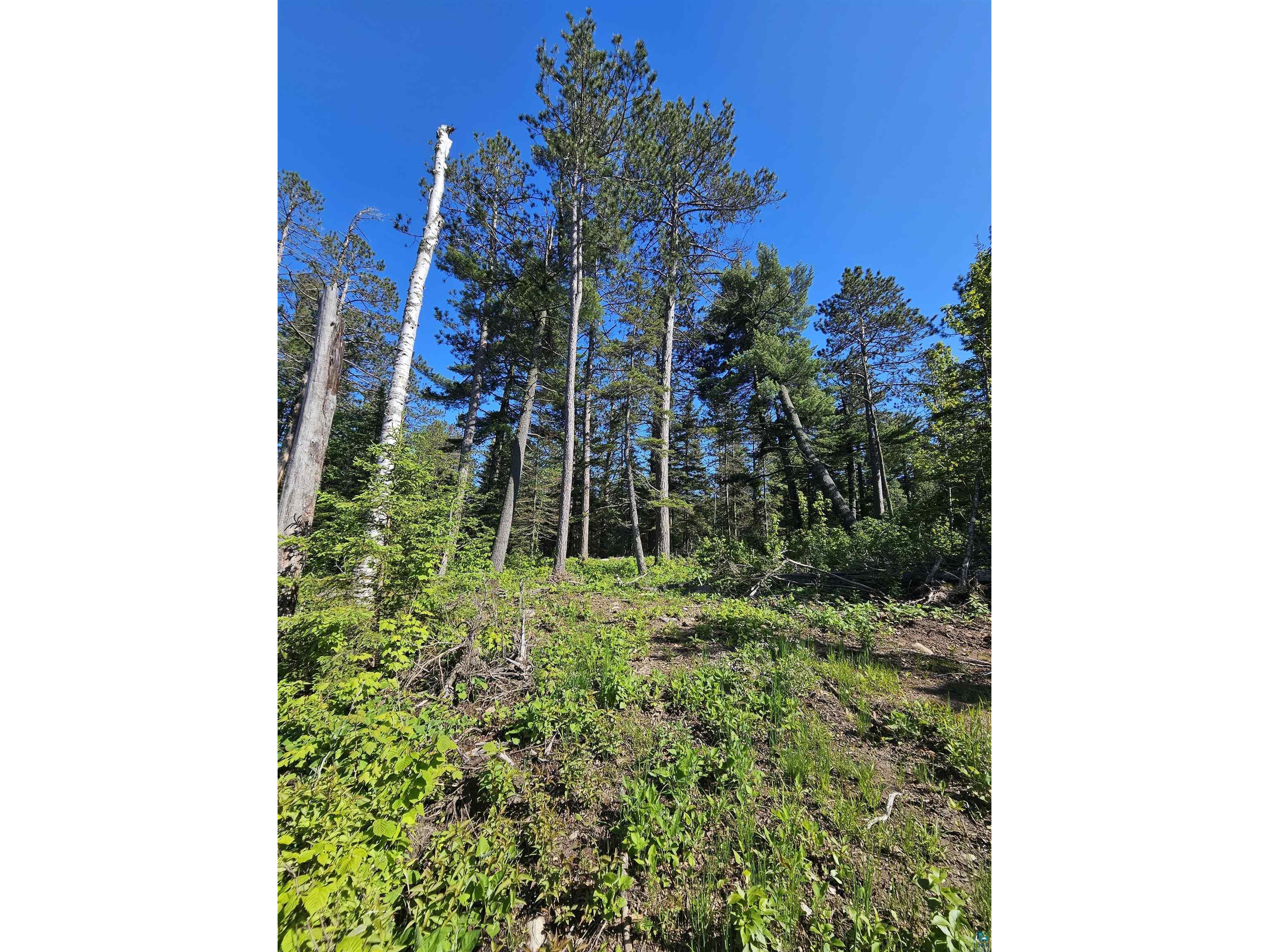 XX Woodridge Dr, Beaver Bay, MN, 55616 MLS 6114069 Edina Realty