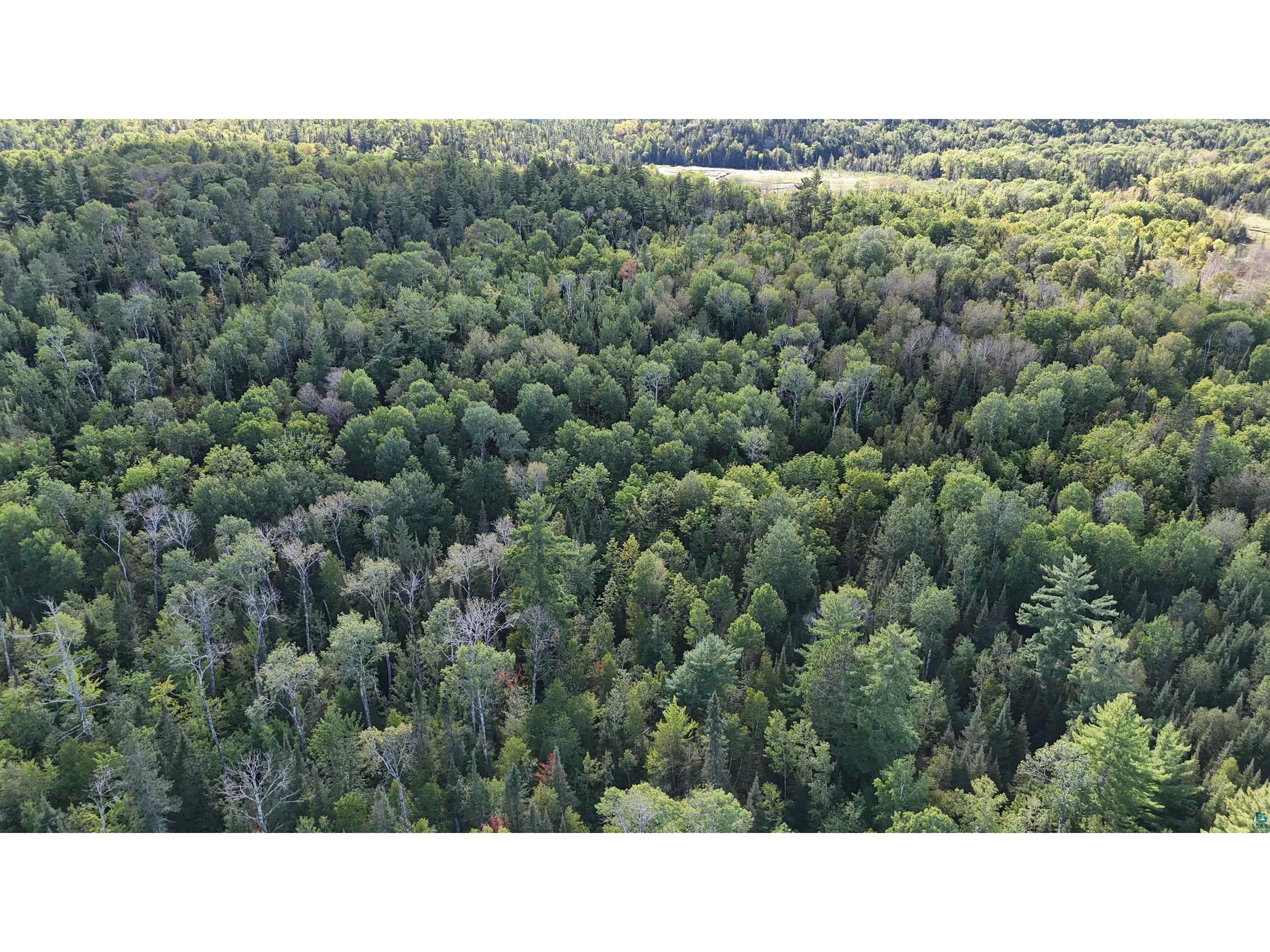 XX13.7 Crane Lake Rd Crane Lake MN 55725 6124644 image28
