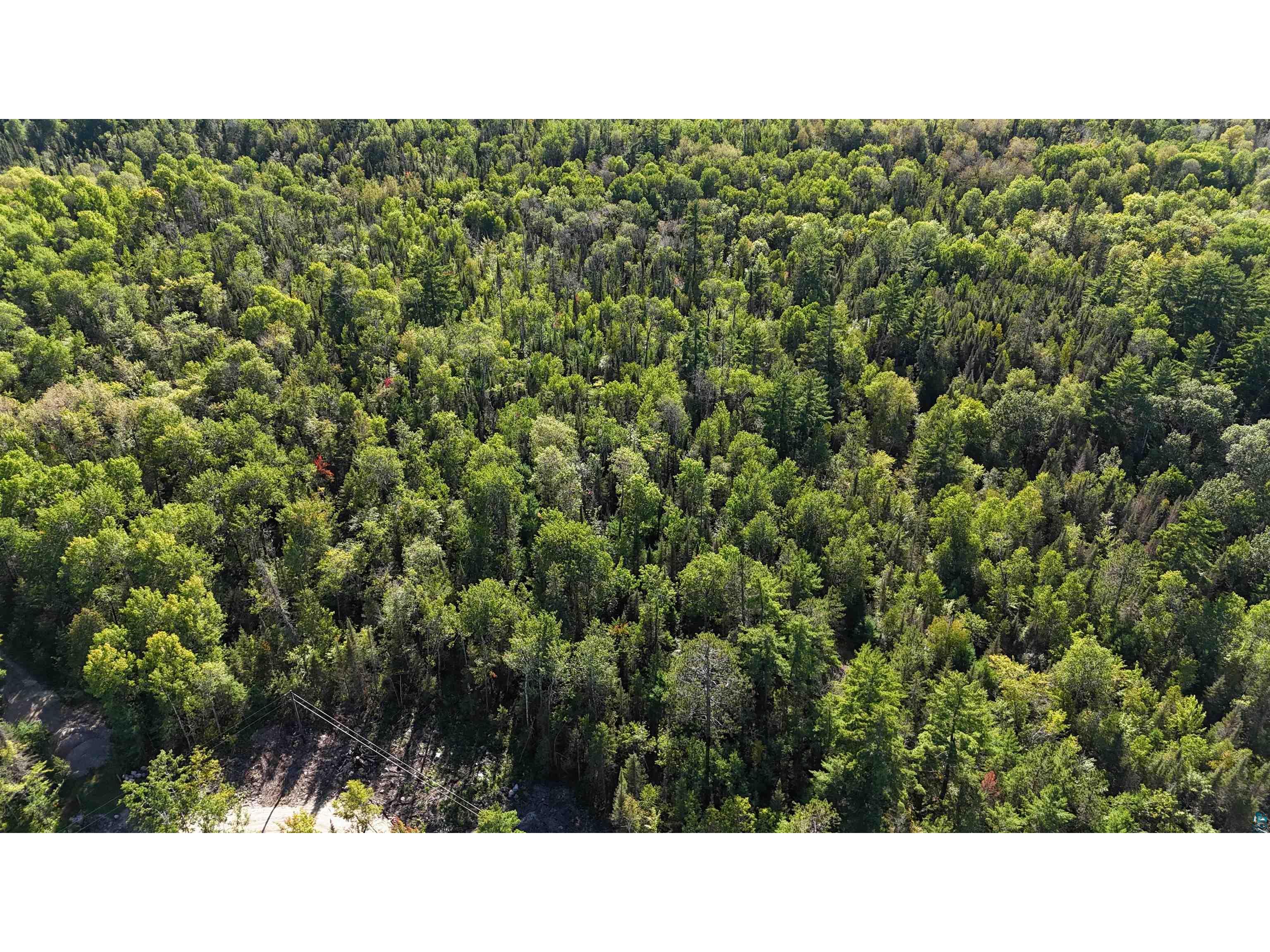 XX13.7 Crane Lake Rd Crane Lake MN 55725 6124644 image35