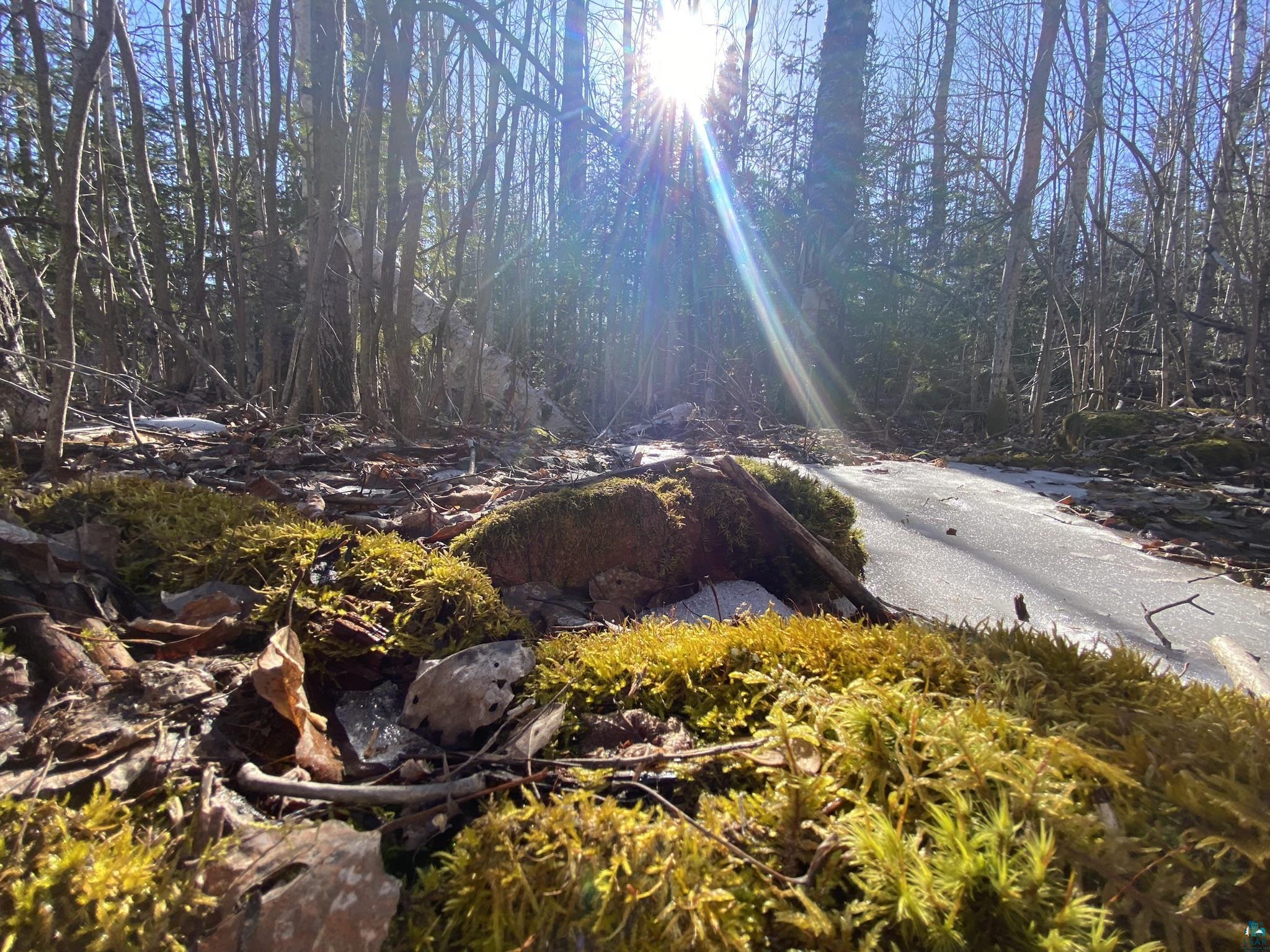 XXA Pine Peak Rd Lutsen MN 55612 6112700 image1