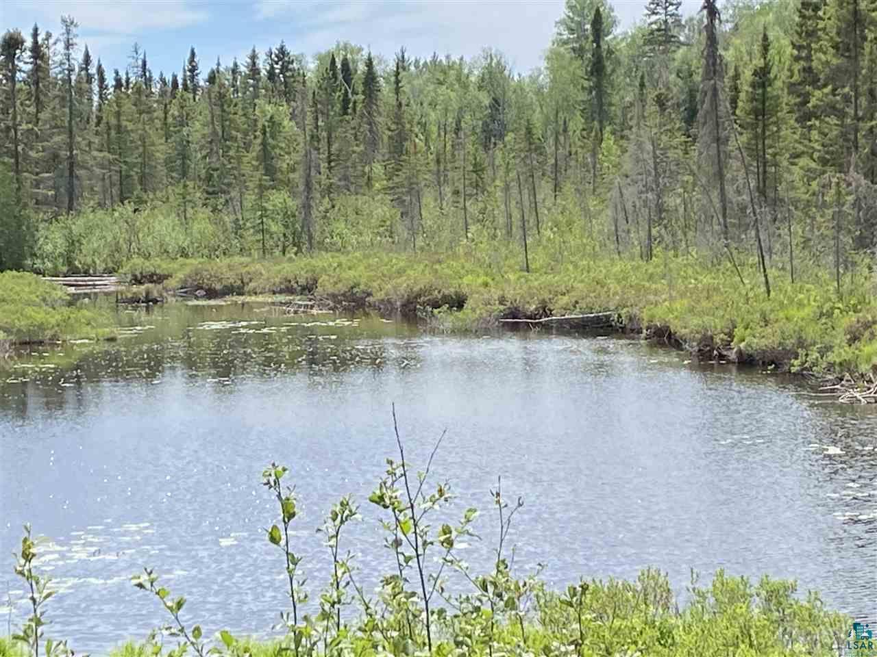 XXC Pine Peak Rd Lutsen MN 55612 6120357 image10