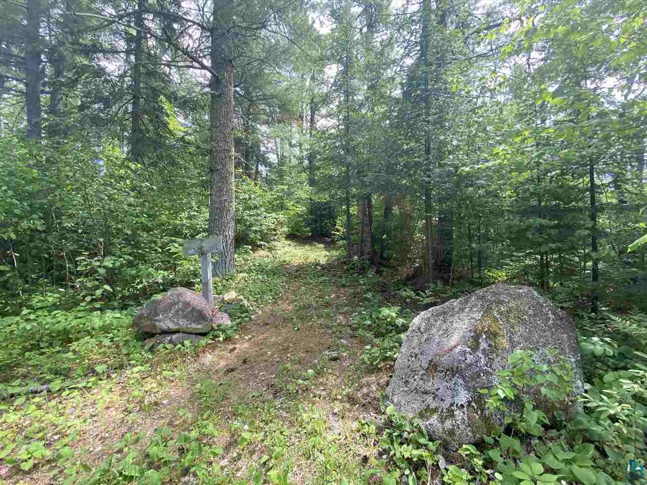 XXC Pine Peak Rd Lutsen MN 55612 6120357 image11