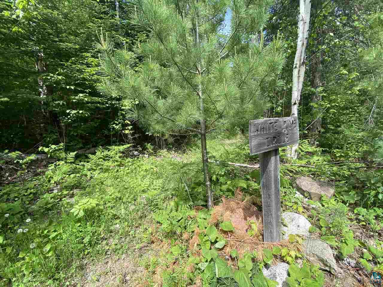 XXC Pine Peak Rd Lutsen MN 55612 6120357 image12