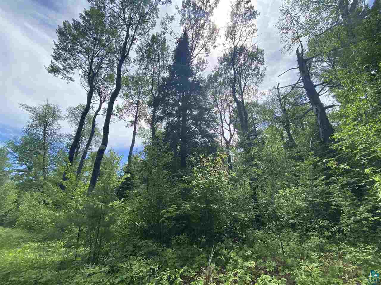 XXC Pine Peak Rd Lutsen MN 55612 6120357 image27
