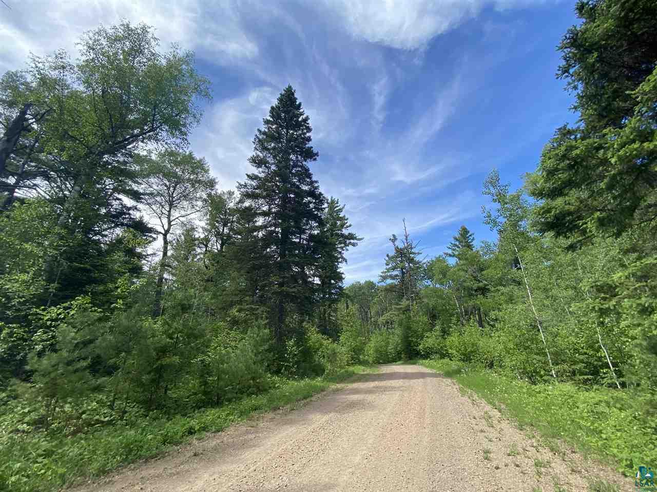 XXC Pine Peak Rd Lutsen MN 55612 6120357 image28