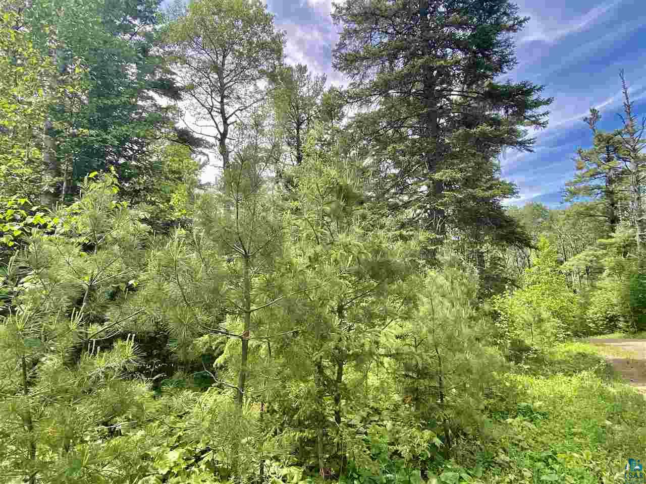 XXC Pine Peak Rd Lutsen MN 55612 6120357 image29