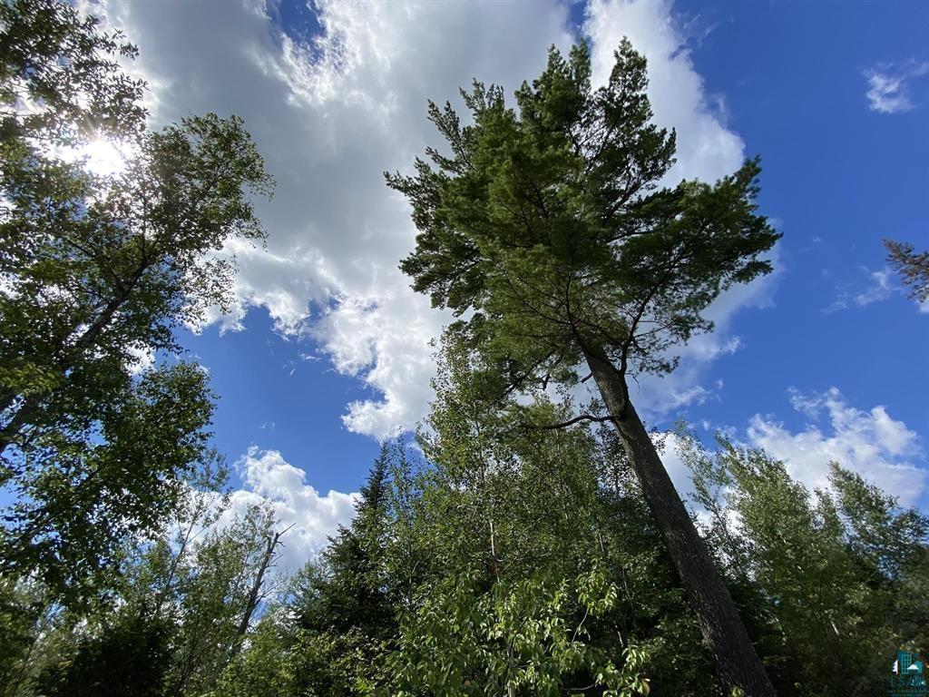 XXC Pine Peak Rd Lutsen MN 55612 6120357 image32