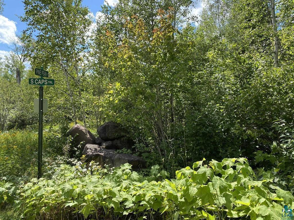 XXC Pine Peak Rd Lutsen MN 55612 6120357 image33