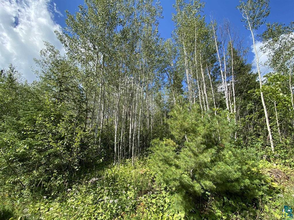 XXC Pine Peak Rd Lutsen MN 55612 6120357 image34