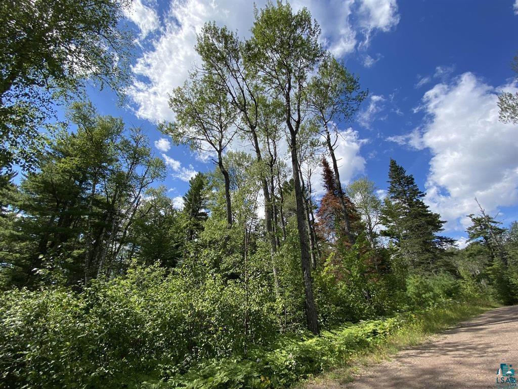 XXC Pine Peak Rd Lutsen MN 55612 6120357 image35