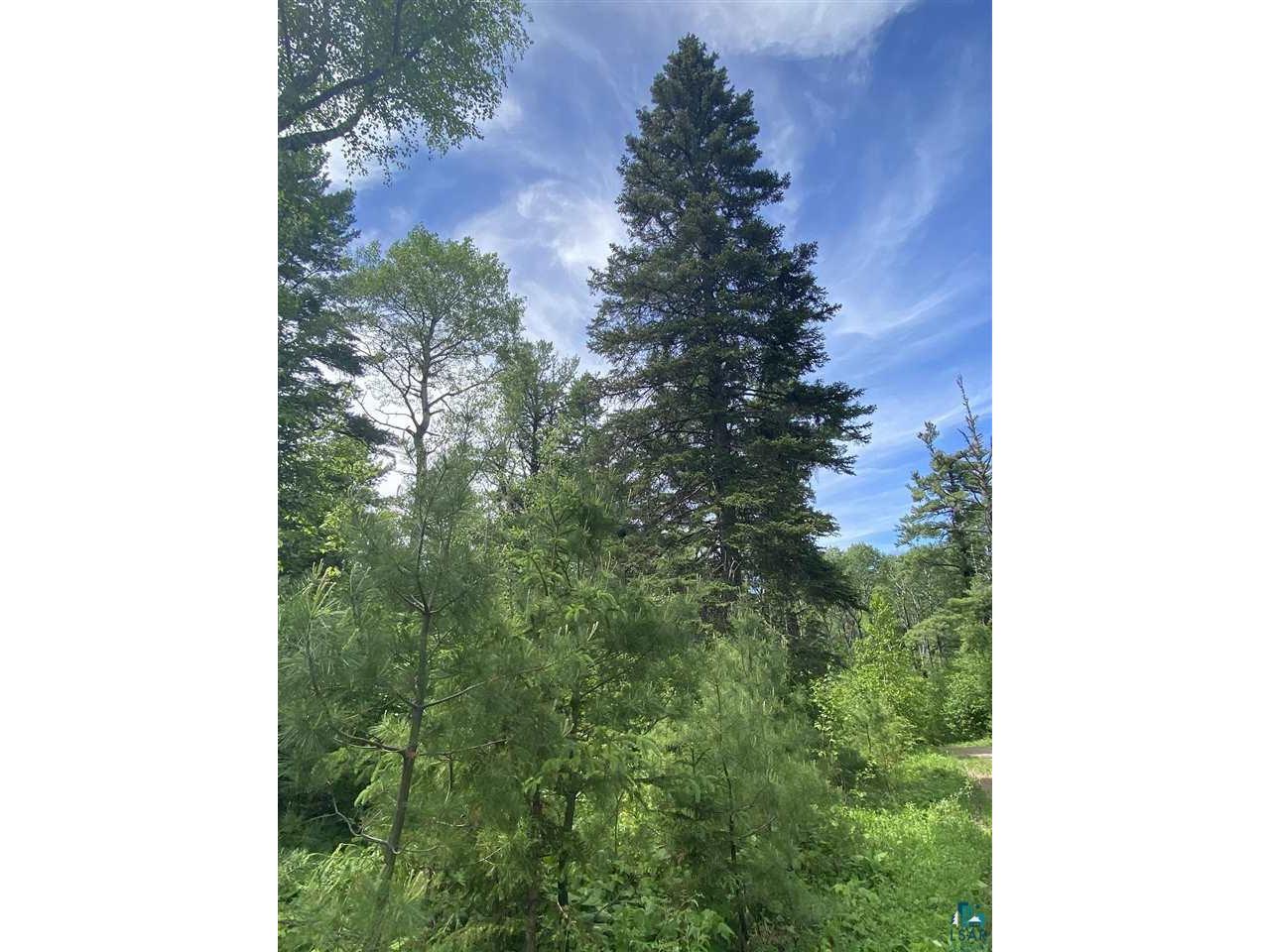 XXC Pine Peak Rd Lutsen MN 55612 6120357 image36