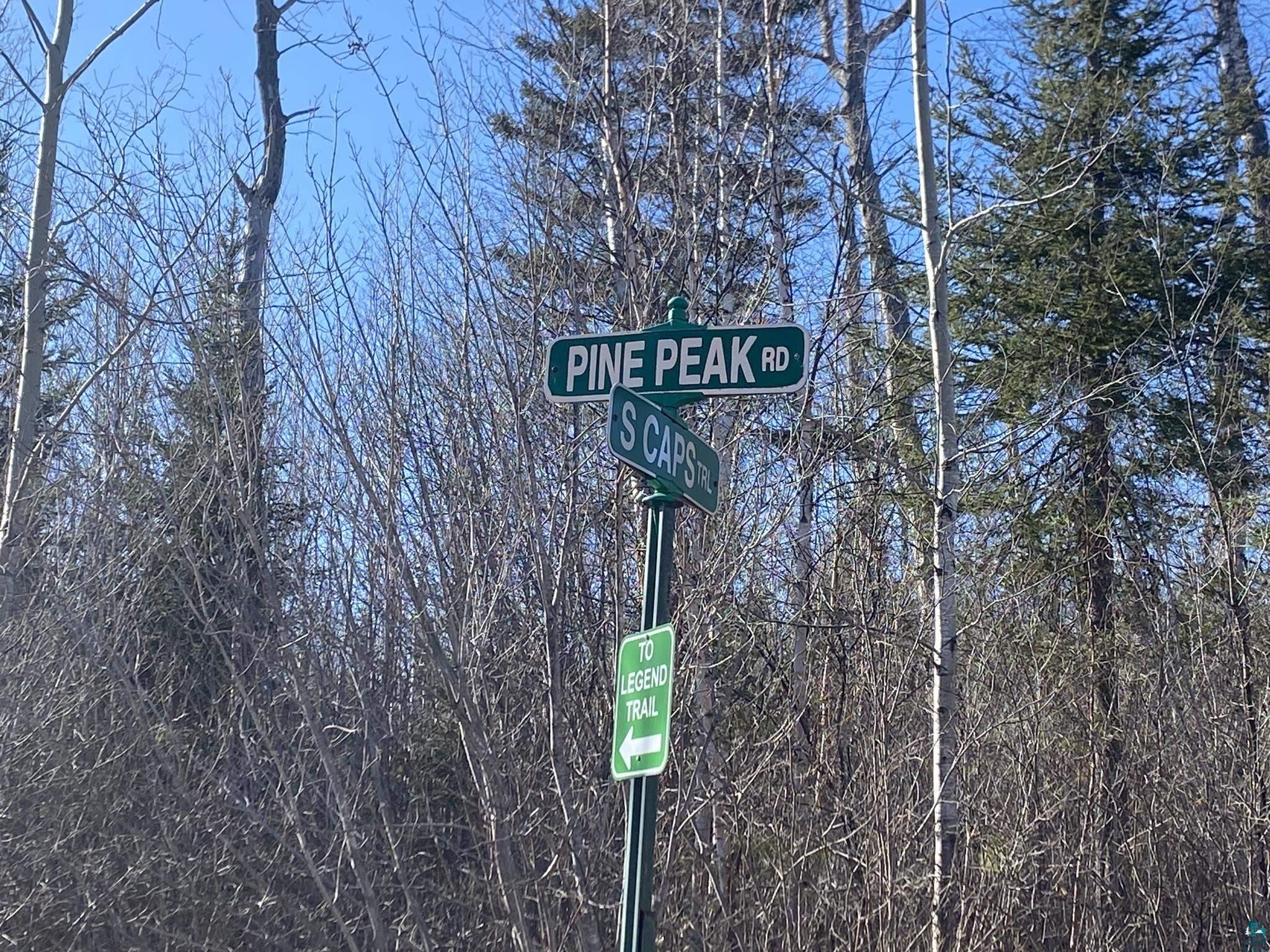 XXC Pine Peak Rd Lutsen MN 55612 6120357 image4