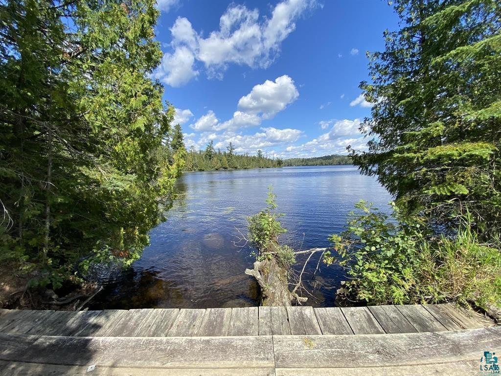 XXC Pine Peak Rd Lutsen MN 55612 6120357 image7
