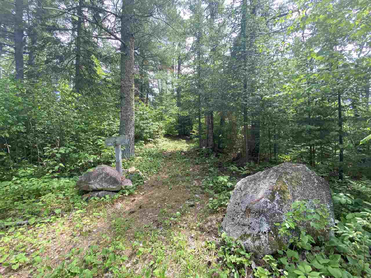 XXD Pine Peak Rd Lutsen MN 55612 6123050 image11