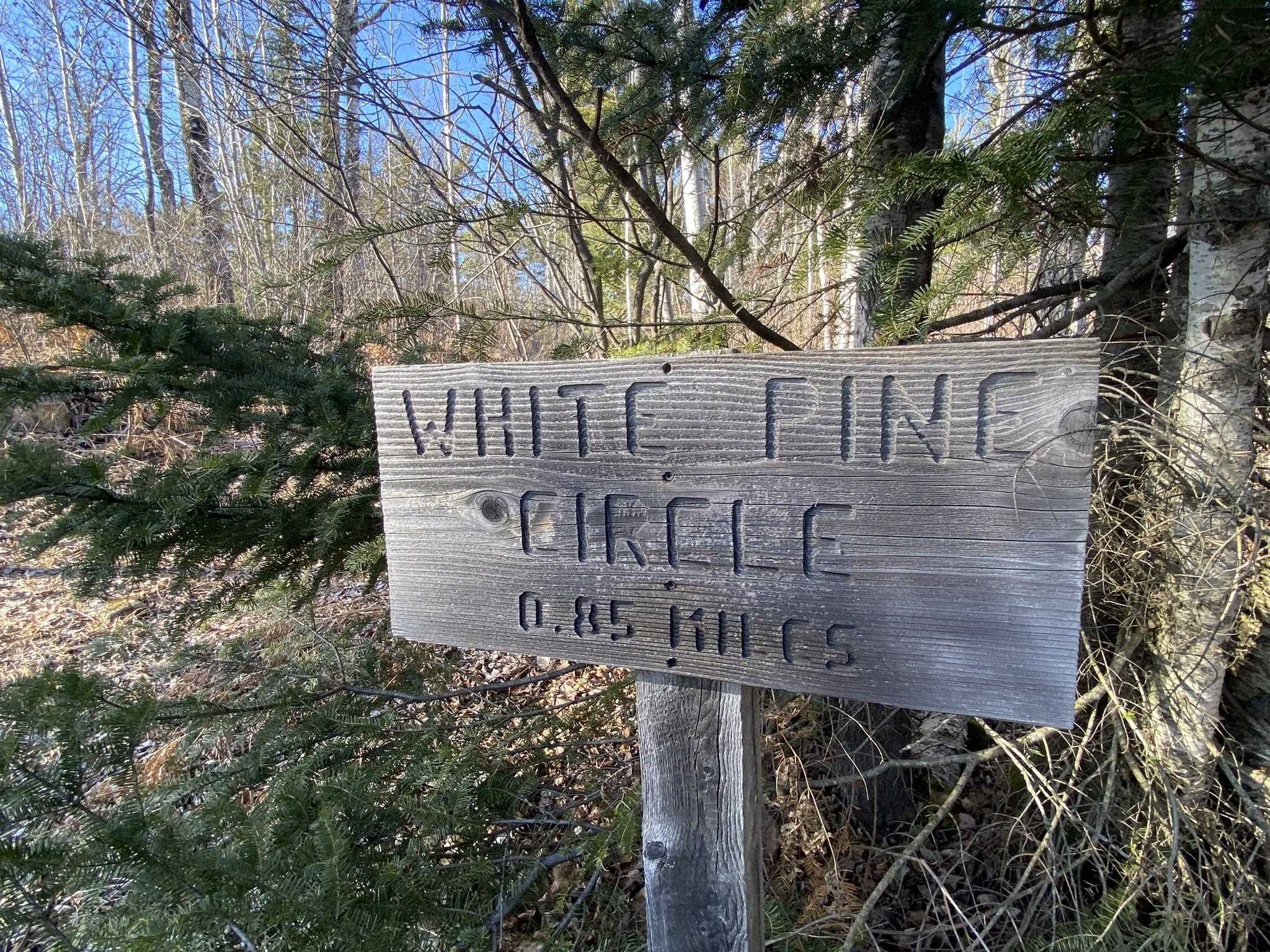 XXD Pine Peak Rd Lutsen MN 55612 6123050 image18