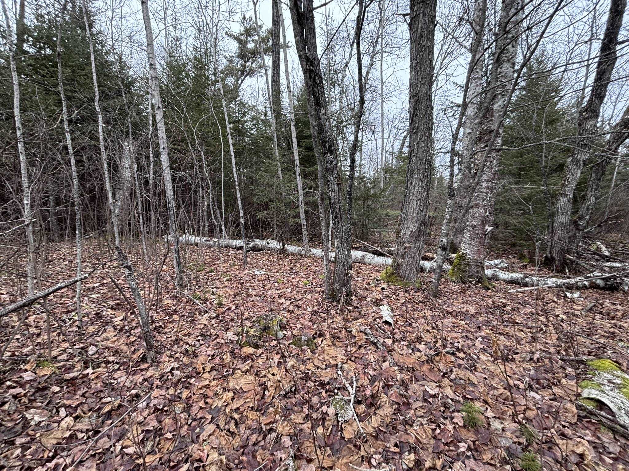 XXD Pine Peak Rd Lutsen MN 55612 6123050 image28