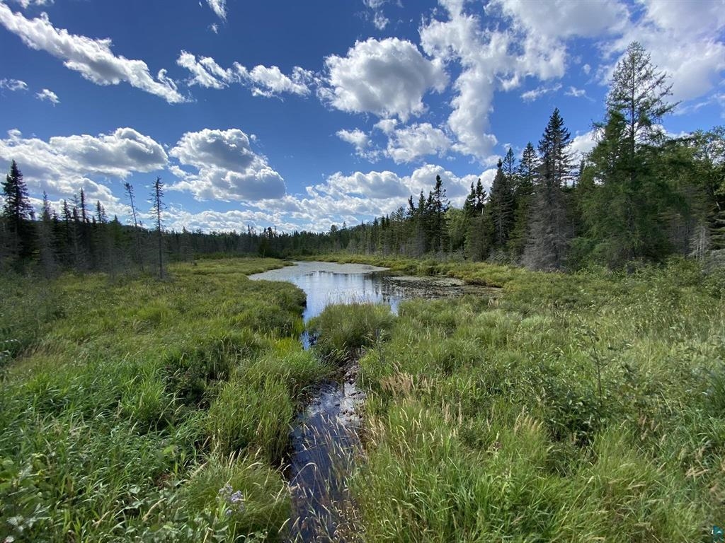 XXD Pine Peak Rd Lutsen MN 55612 6123050 image31