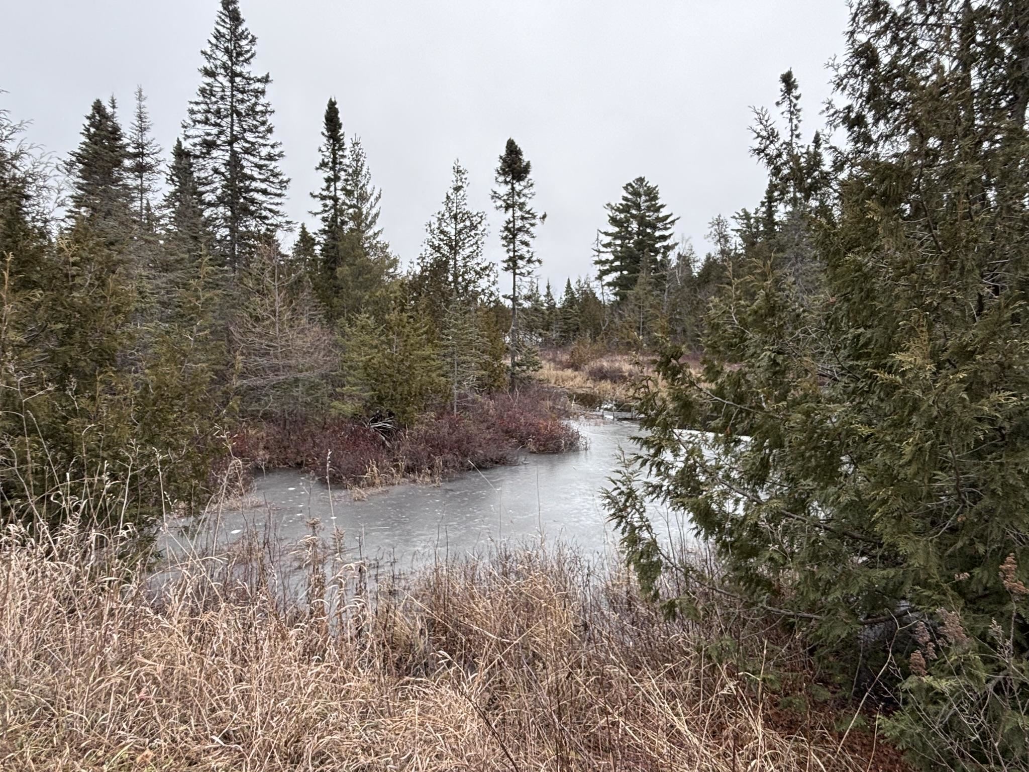 XXD Pine Peak Rd Lutsen MN 55612 6123050 image38