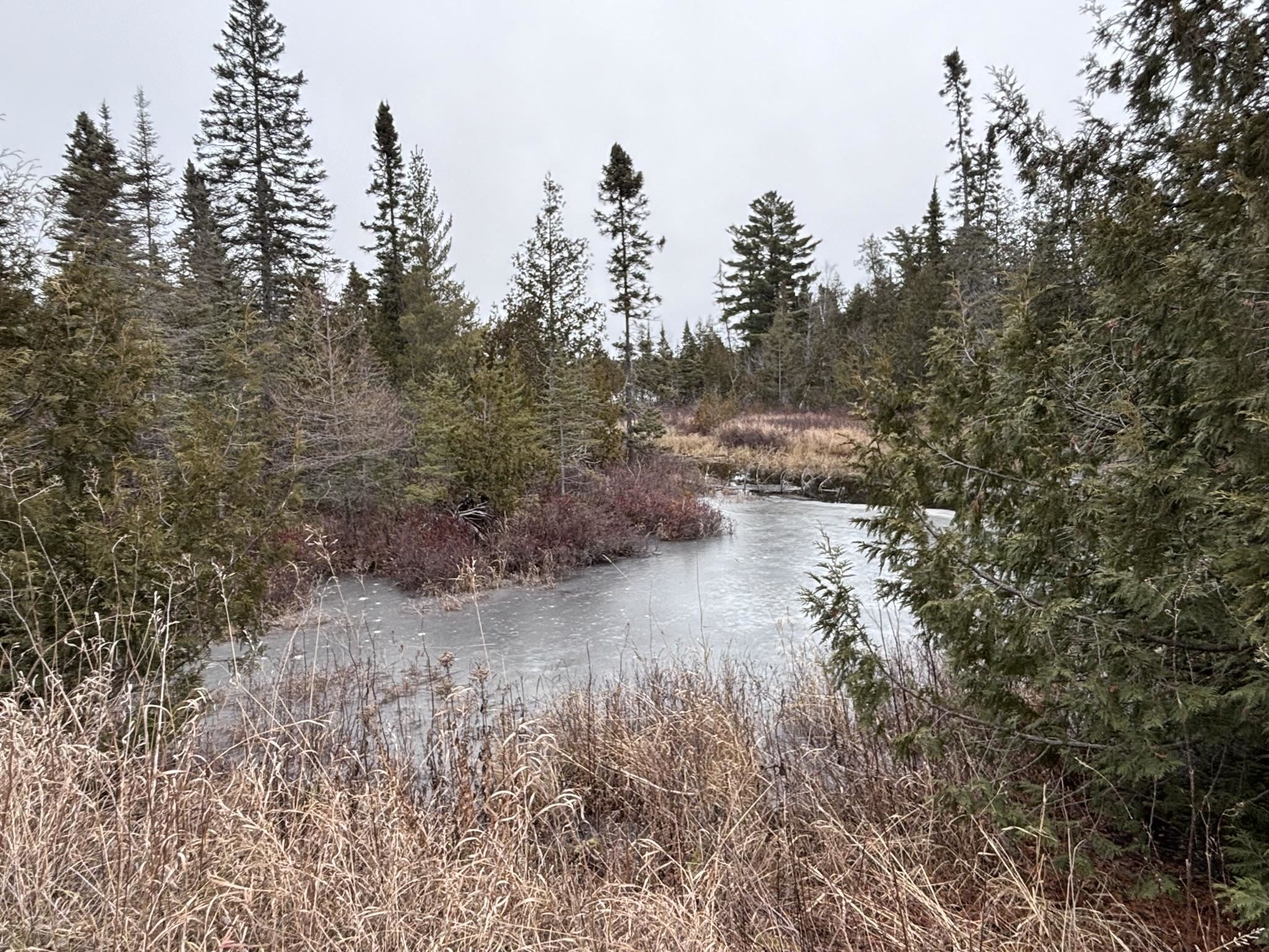 XXD Pine Peak Rd Lutsen MN 55612 6123050 image39