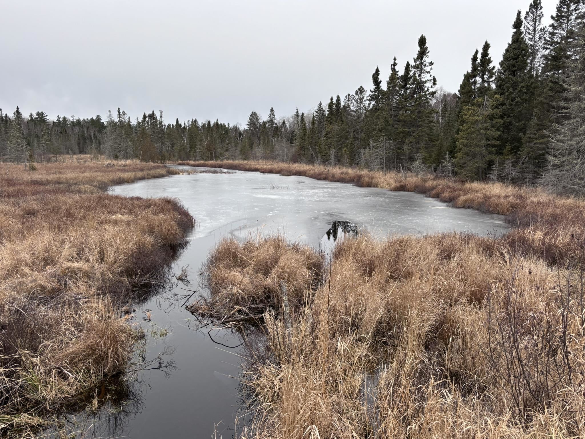 XXD Pine Peak Rd Lutsen MN 55612 6123050 image41