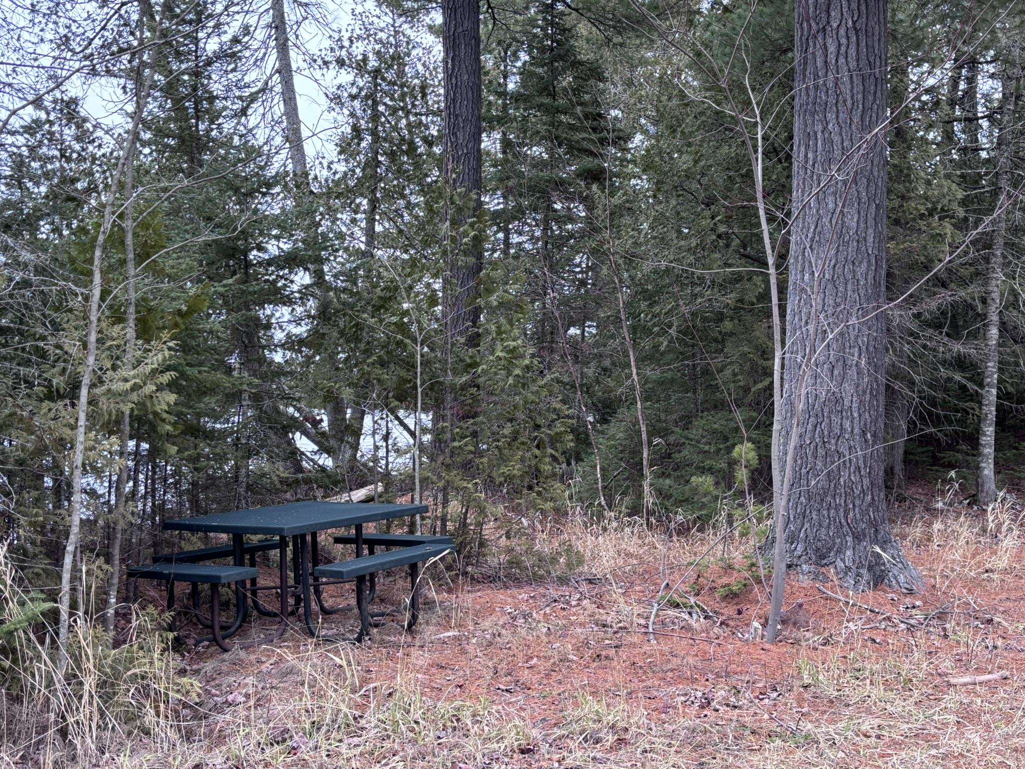 XXD Pine Peak Rd Lutsen MN 55612 6123050 image49