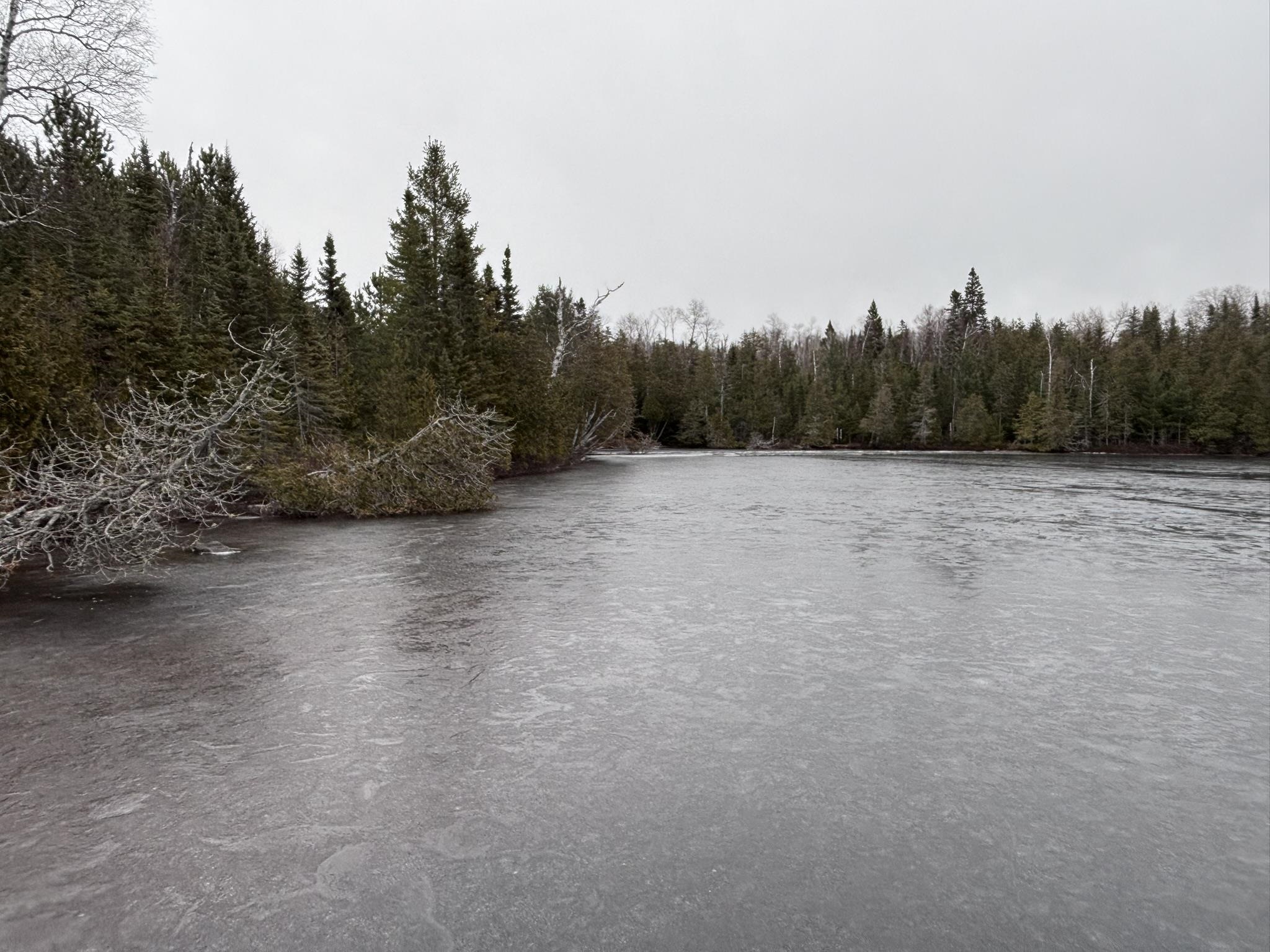 XXD Pine Peak Rd Lutsen MN 55612 6123050 image54