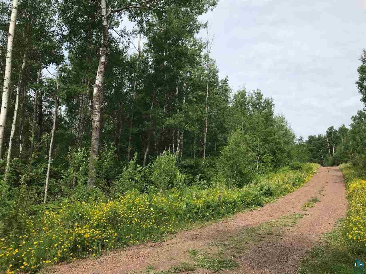 XXX-1 Murphy Mountain Rd Grand Marais MN 55604 6096700 image1