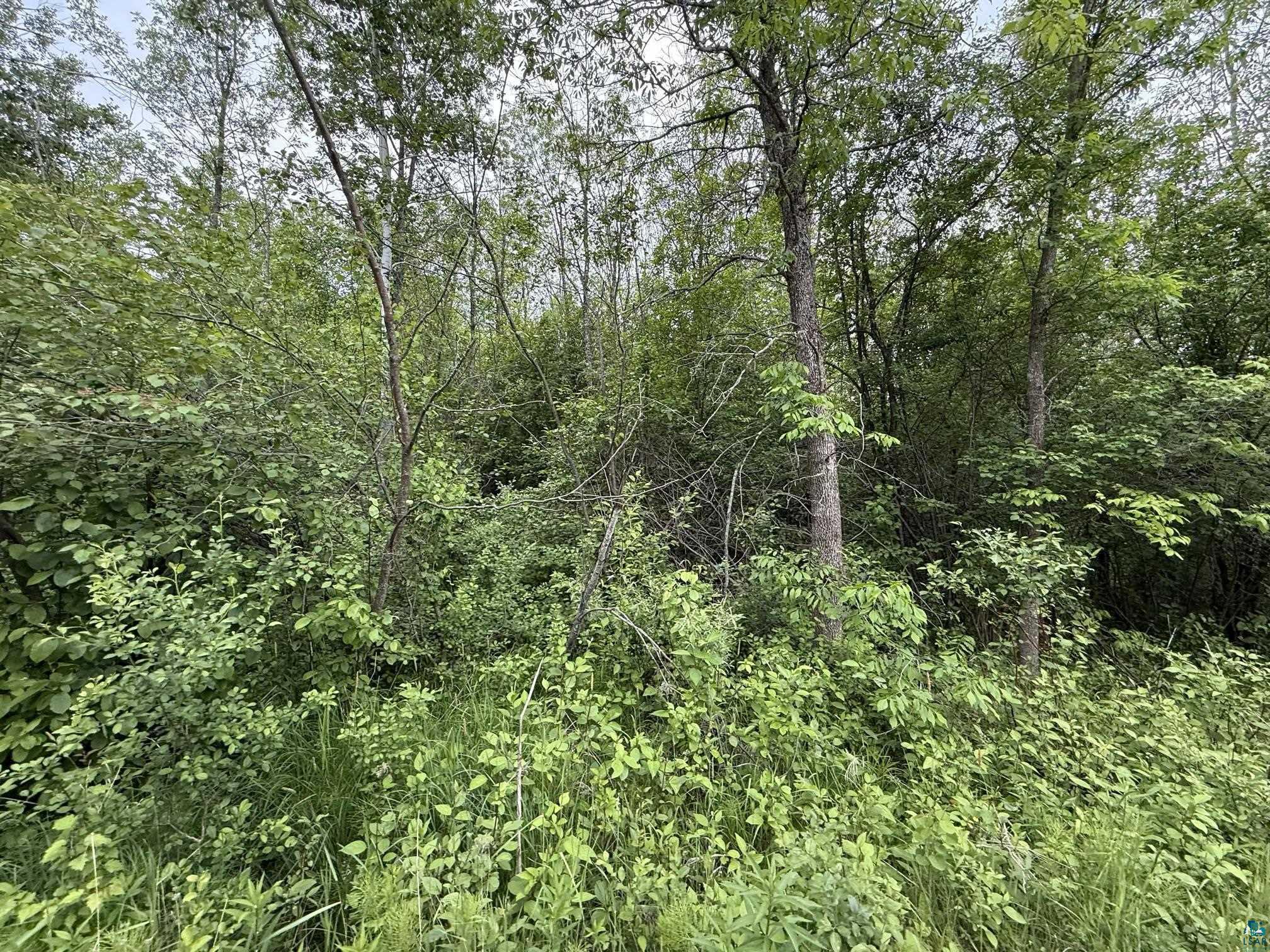 XXX 22nd Street E Ashland WI 54806 6120153 image9