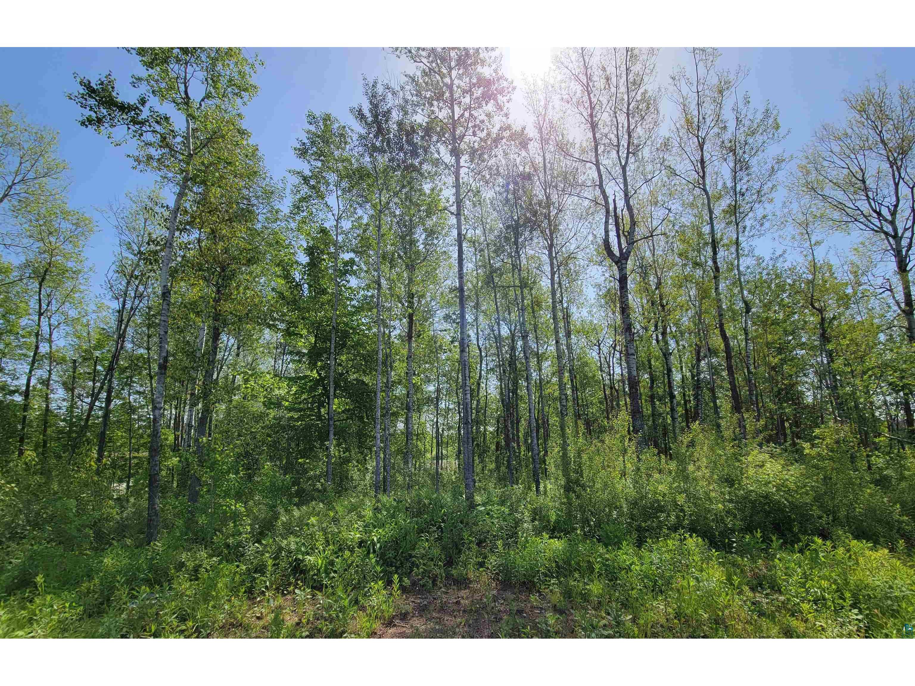 XXX 9th St Proctor MN 55810 6103687 image1