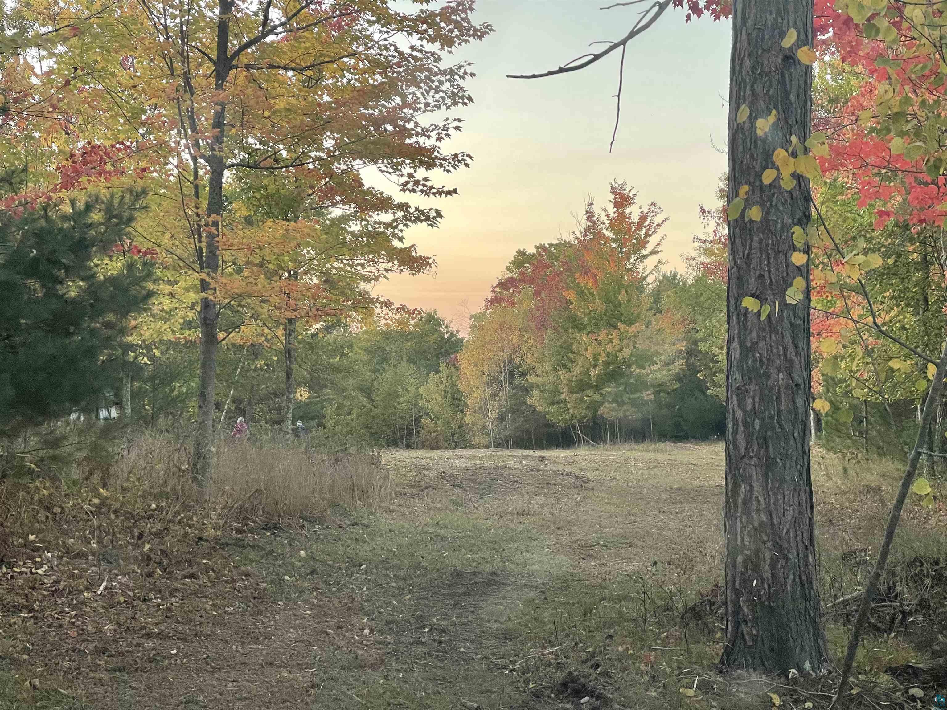 XXX Bay Dr, Siren, WI, 54893 MLS 6107139 Edina Realty