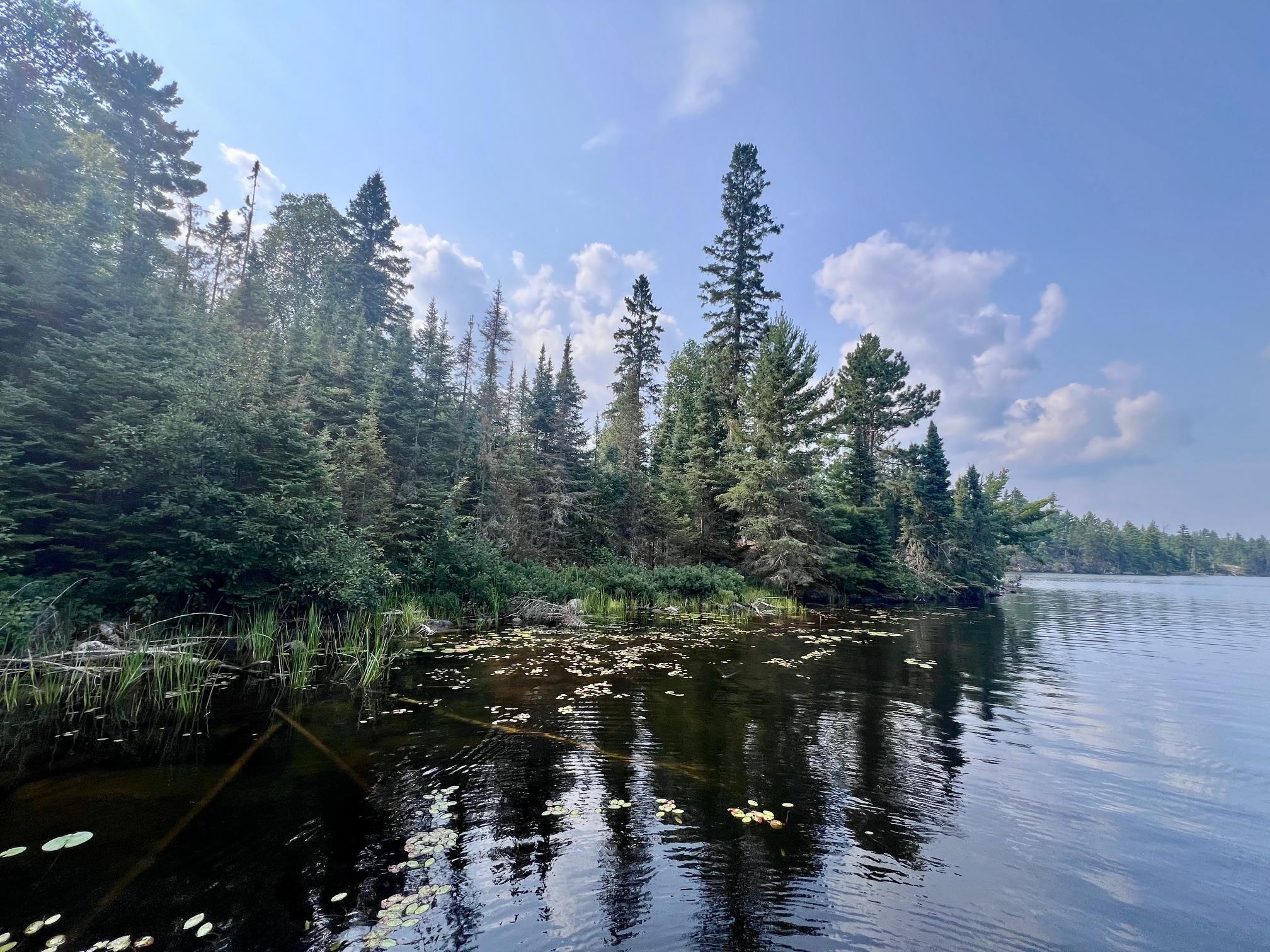 XXX Burntside Lake Island Ely MN 55731 - Burntside Lake 6119421 image1