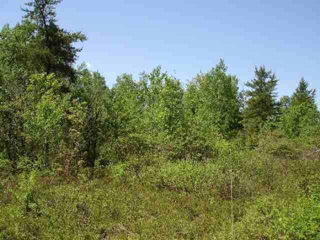 XXX CTY HWY A Iron River WI 54847 6062606 image2