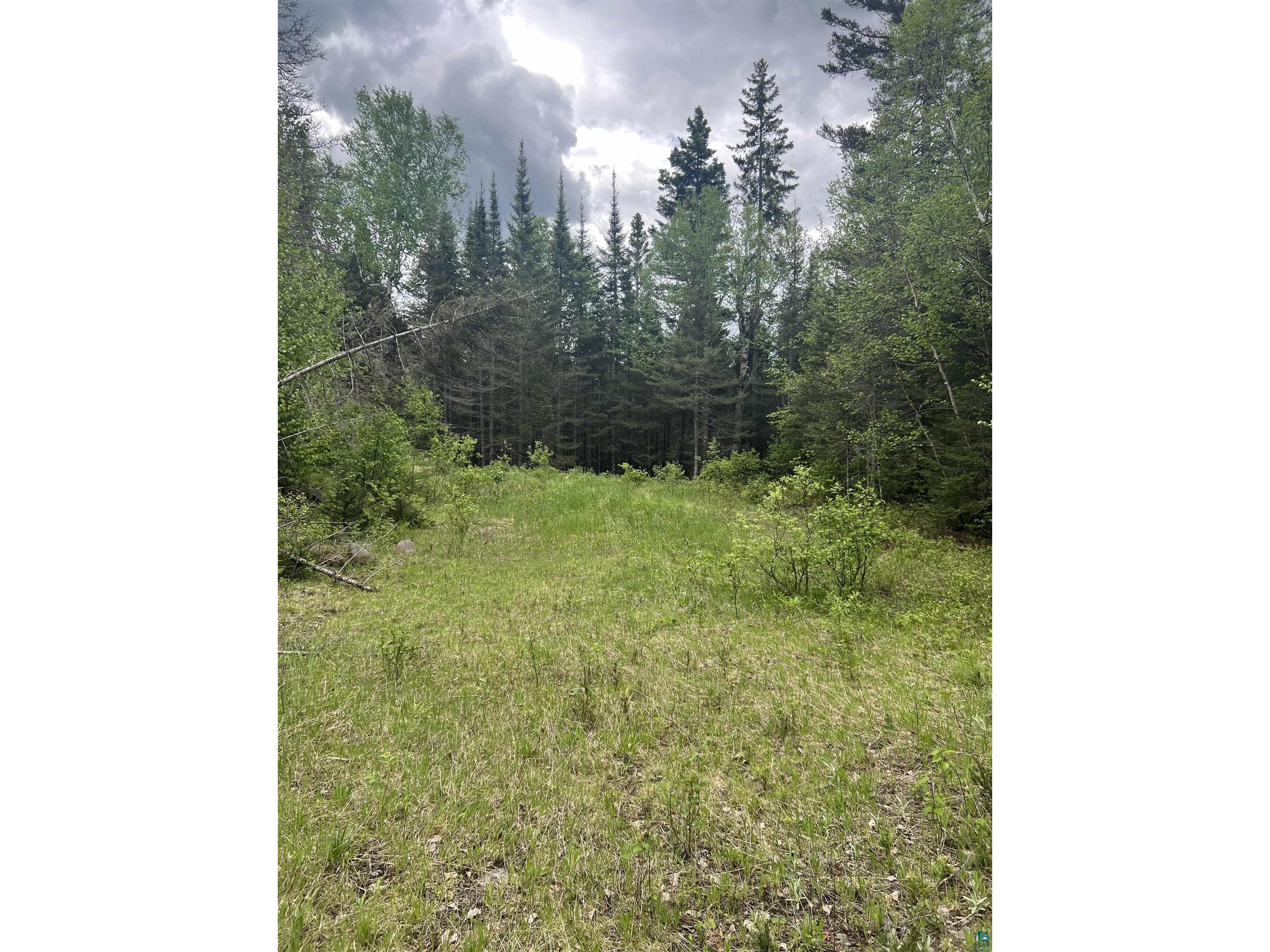 XXX Camp 26 Rd Finland MN 55614 - Beaver Lake 6125220 image3
