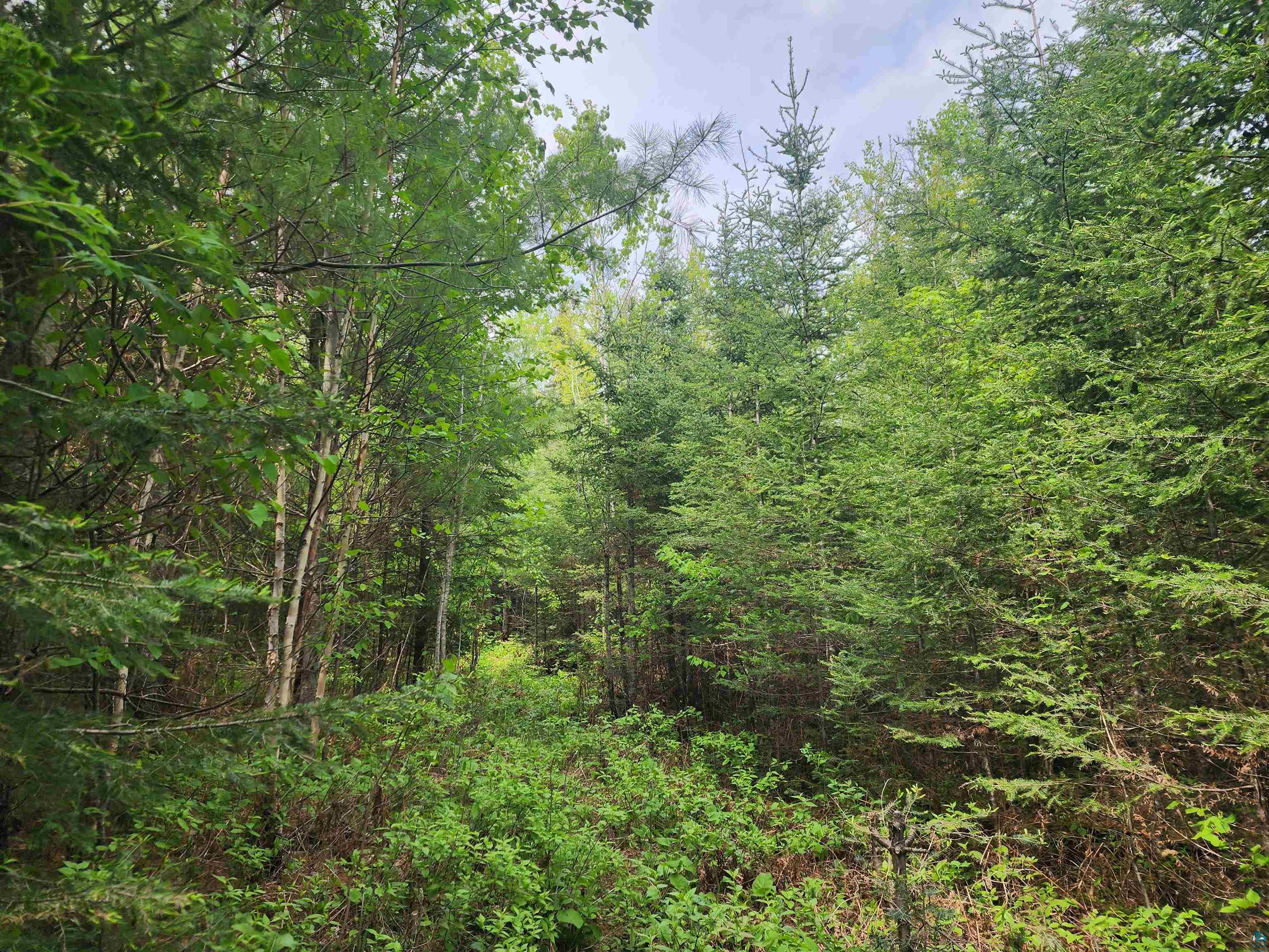 XXX Cascade Bluffs Grand Marais MN 55604 - Cascade 6126230 image12