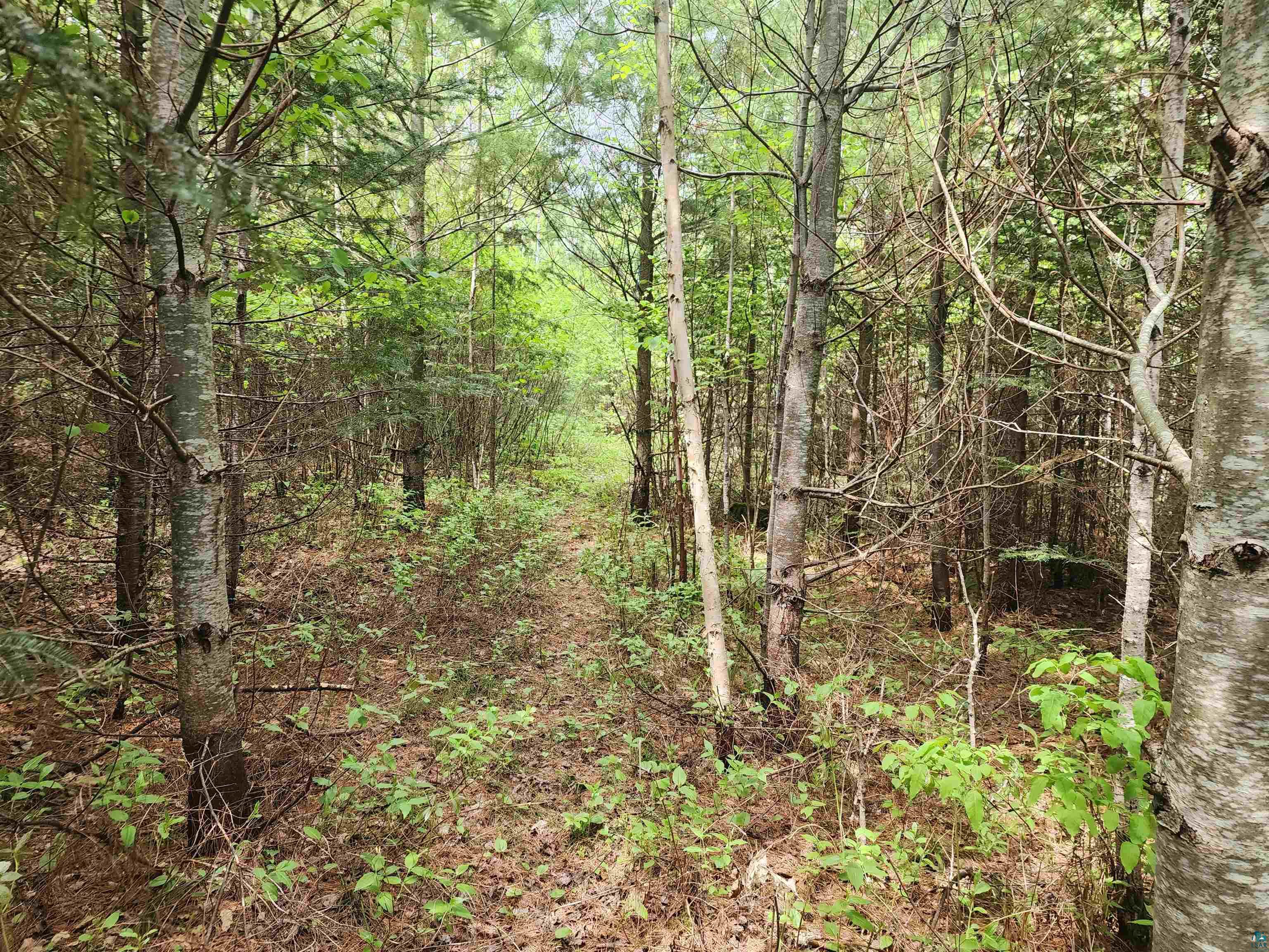 XXX Cascade Bluffs Grand Marais MN 55604 - Cascade 6126230 image6