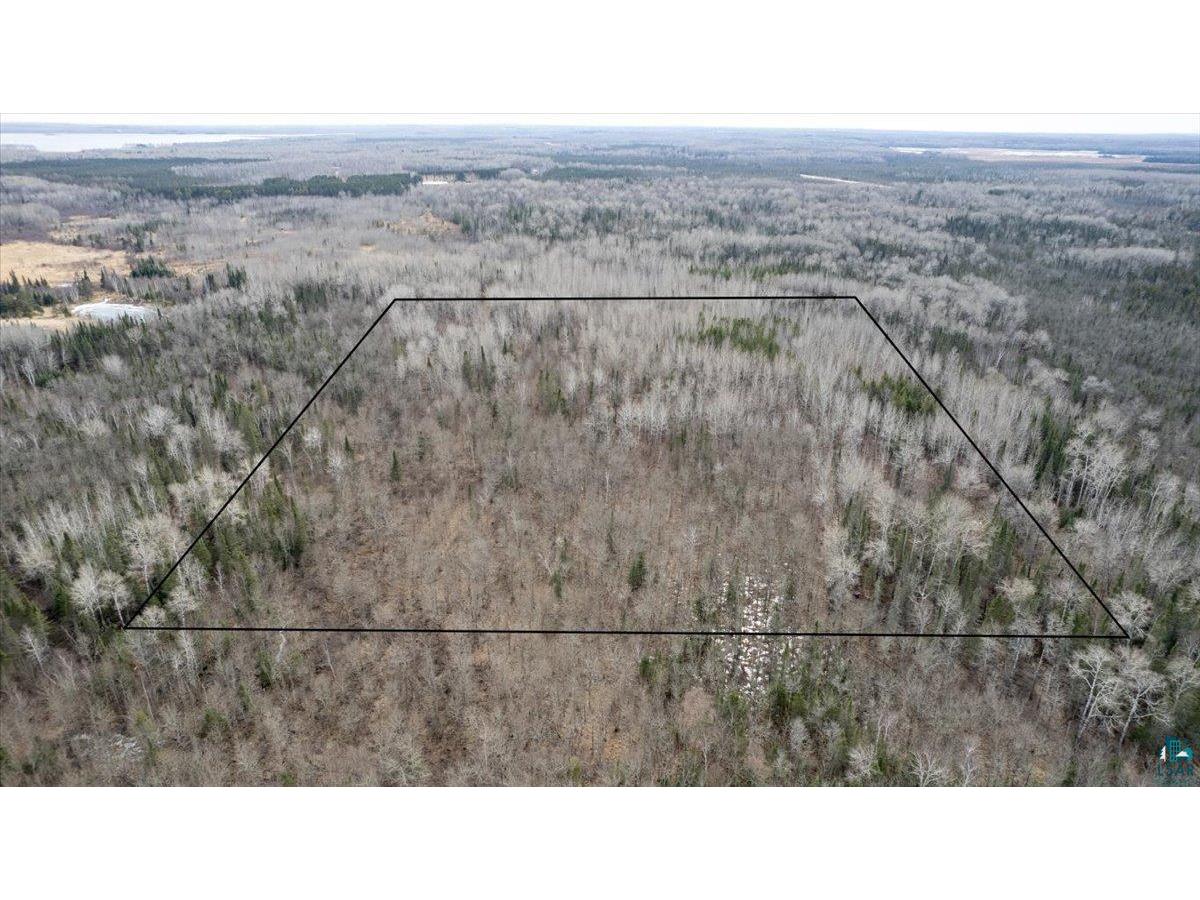 XXX Castle Rd Duluth MN 55803 6112704 image1