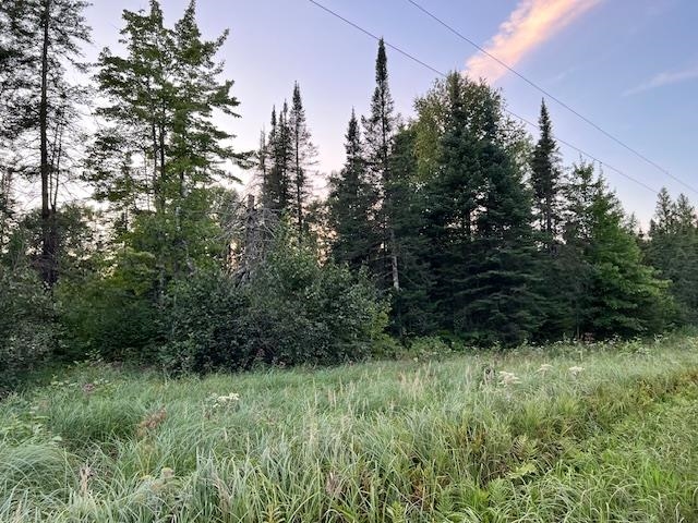 XXX County Rd 142 Mahtowa MN 55707 6121642 image1