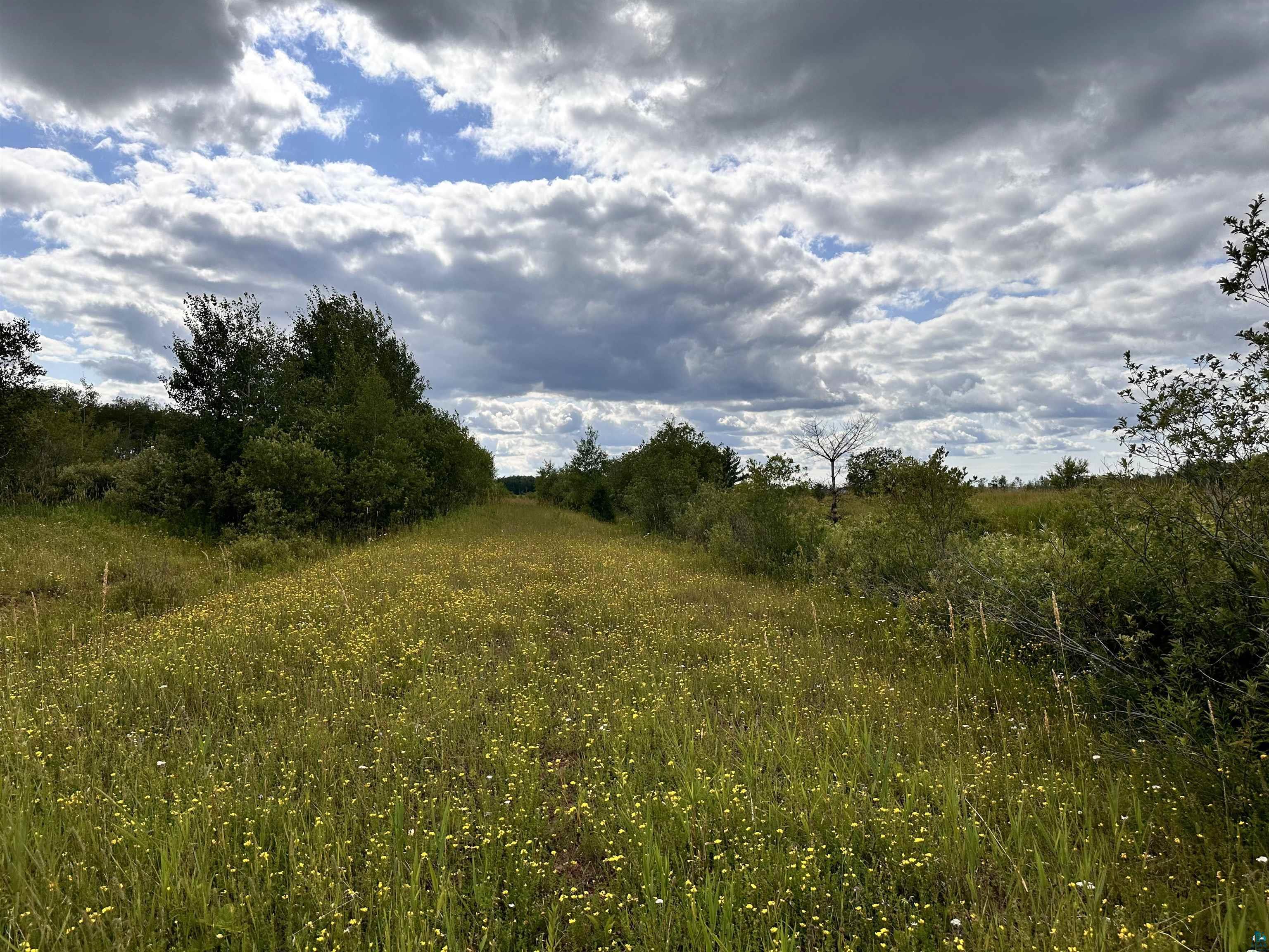 XXX Curry Road Ashland WI 54856 6118594 image6