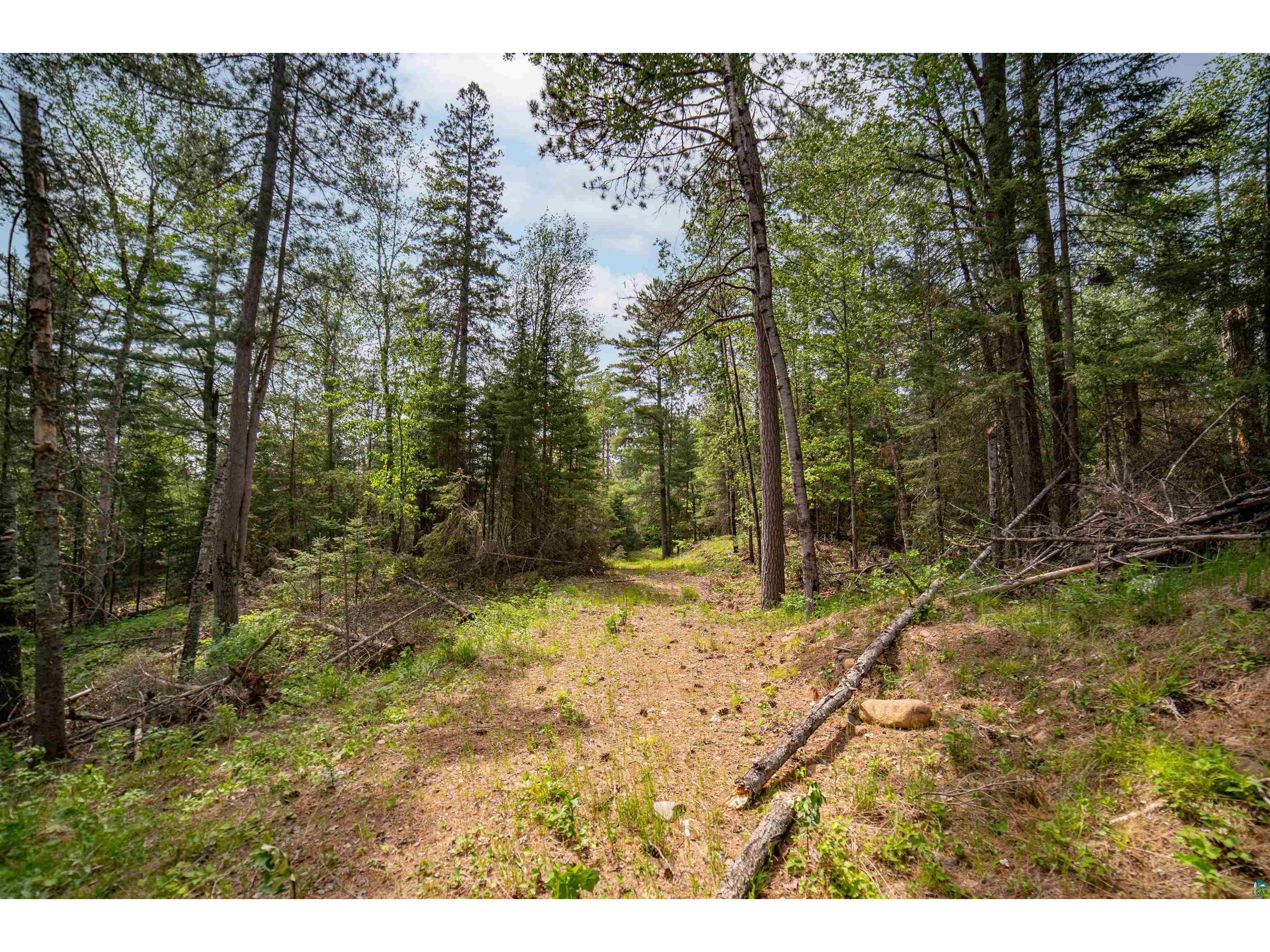 XXX Forest Dr Duluth MN 55803 6119827 image10