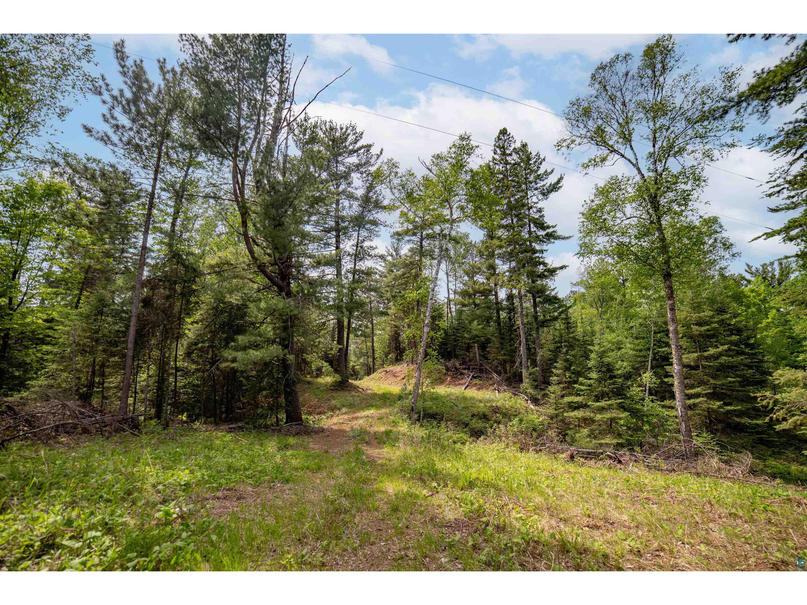 XXX Forest Dr Duluth MN 55803 6119827 image11