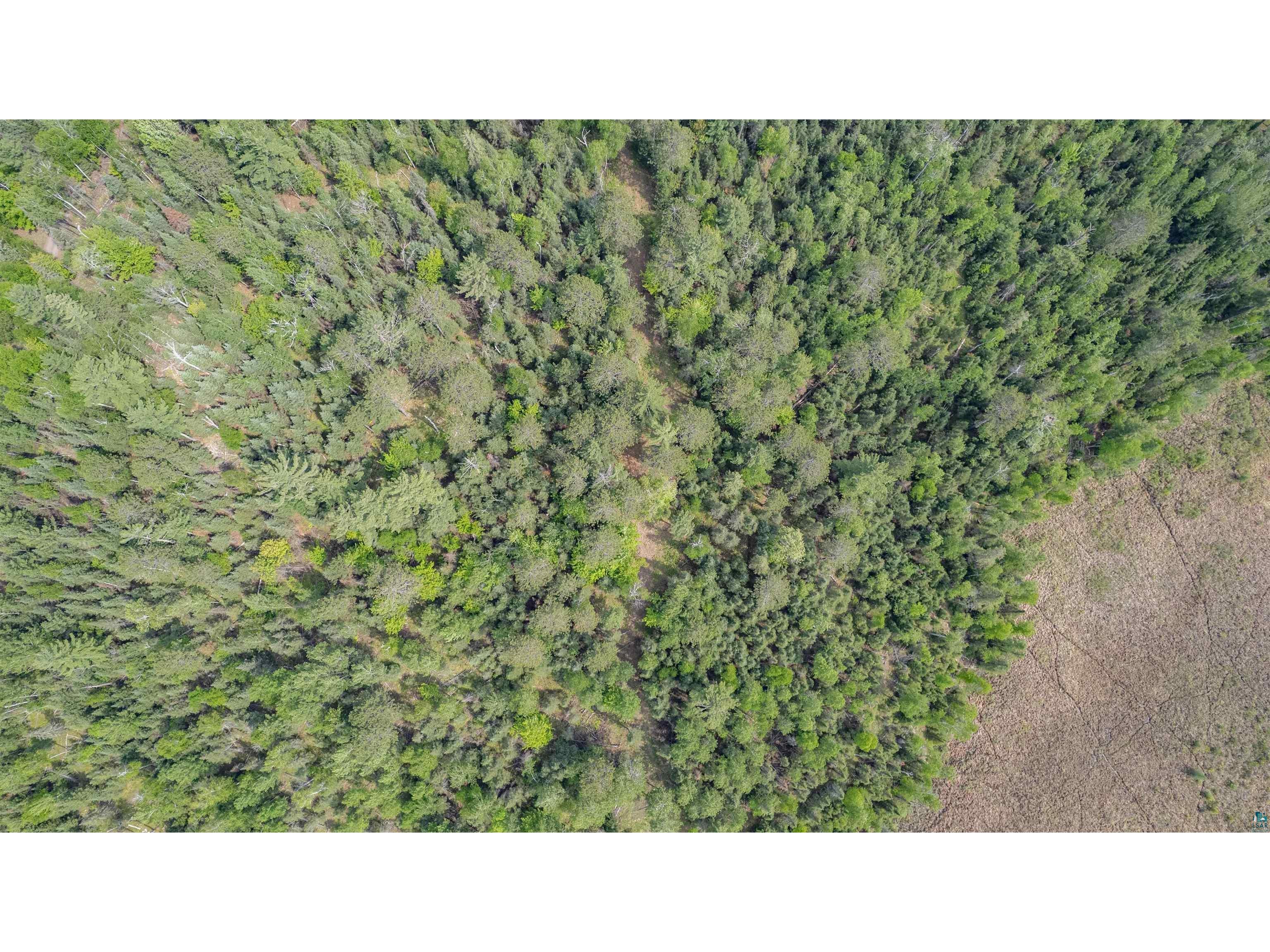 XXX Forest Dr Duluth MN 55803 6119827 image5