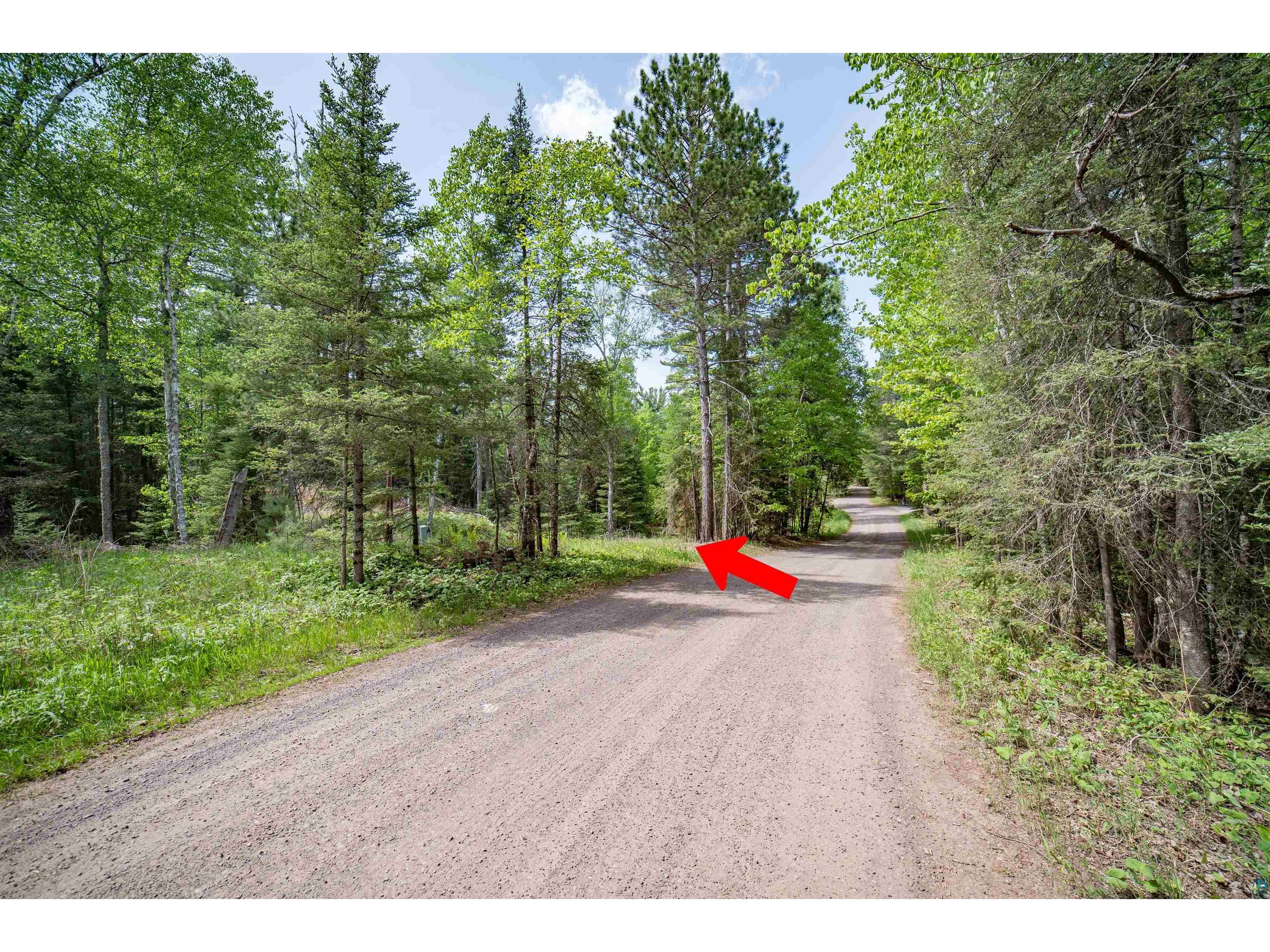 XXX Forest Dr Duluth MN 55803 6119827 image6