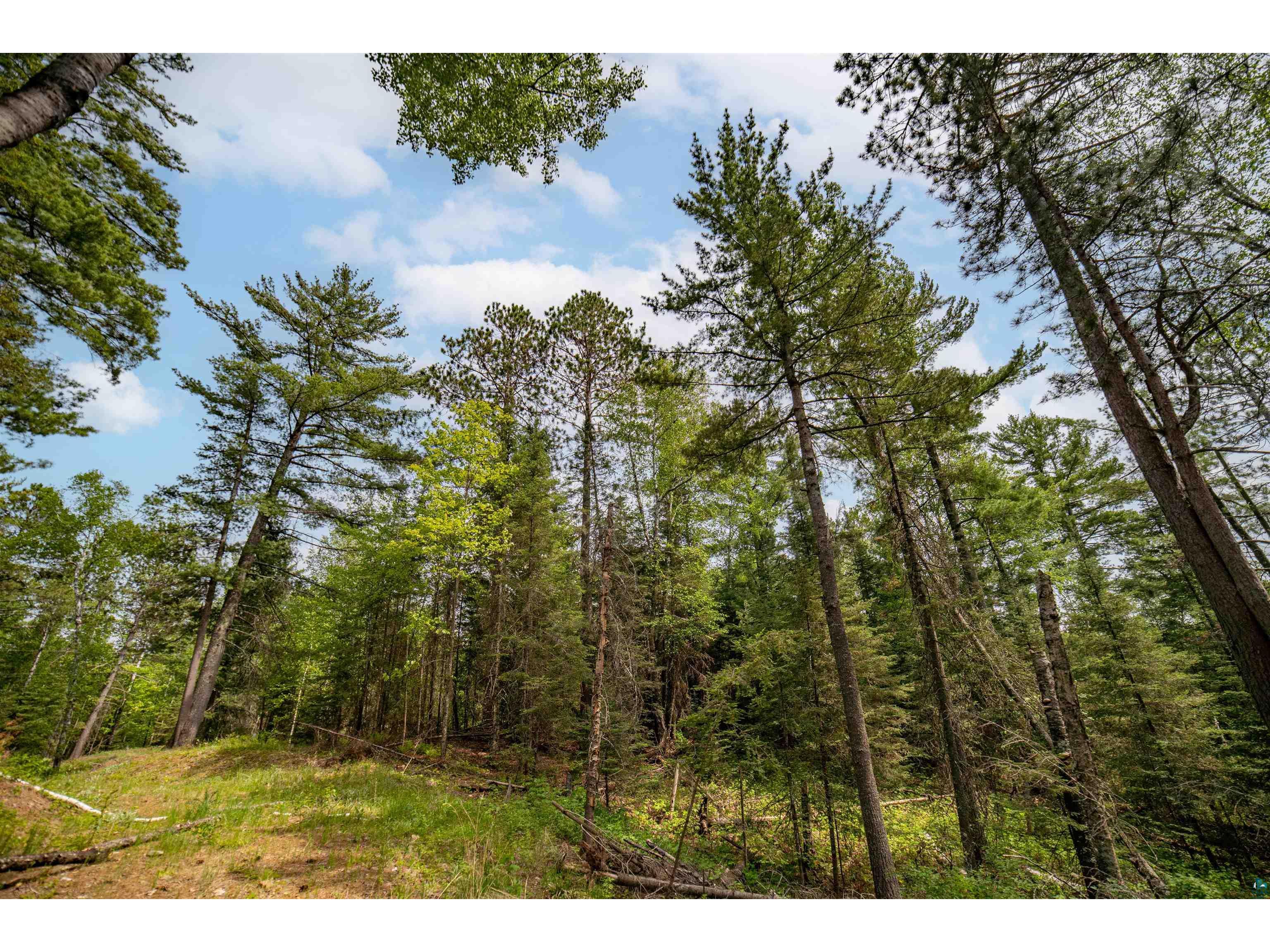 XXX Forest Dr Duluth MN 55803 6119827 image8