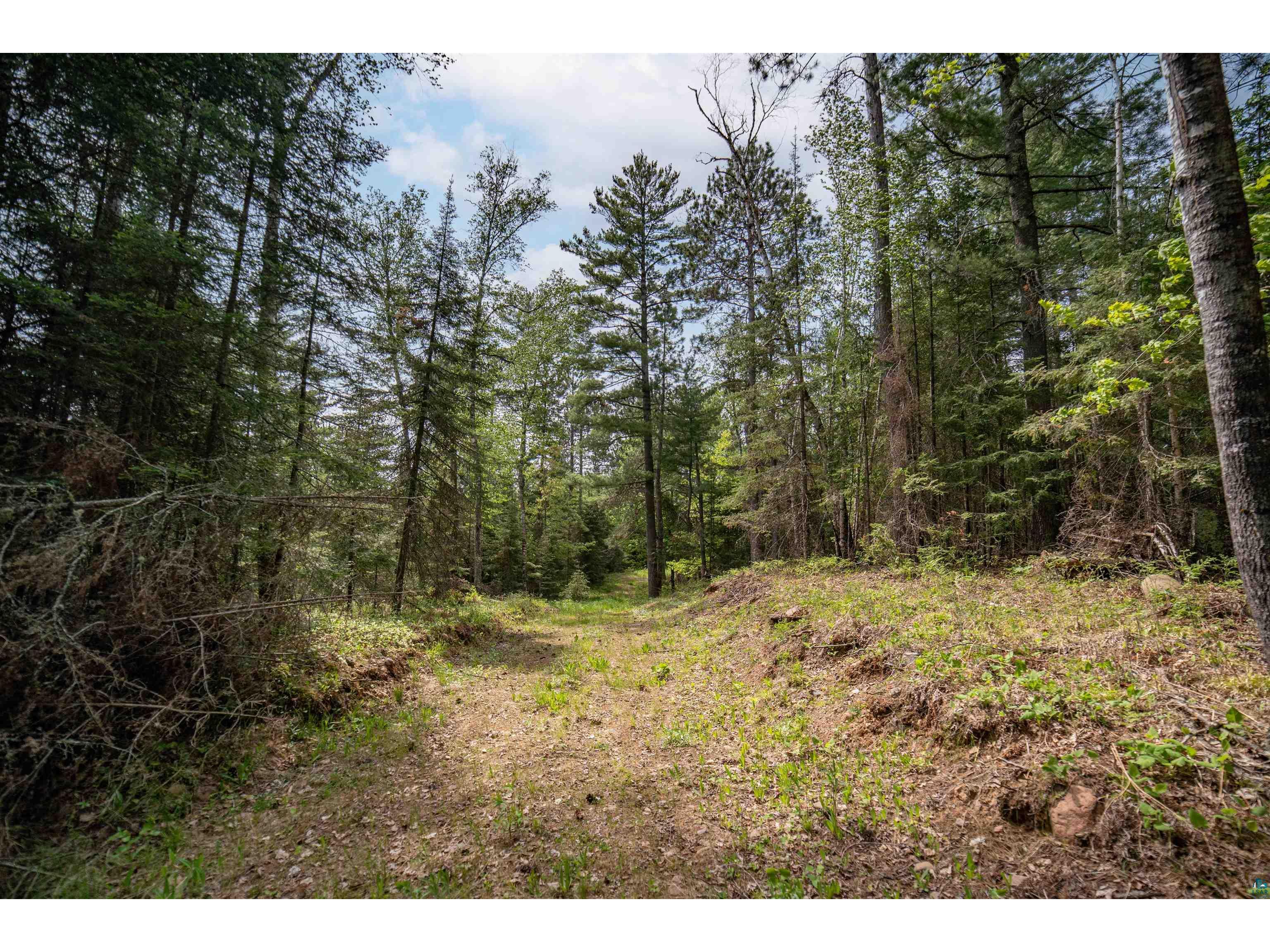 XXX Forest Dr Duluth MN 55803 6119827 image9